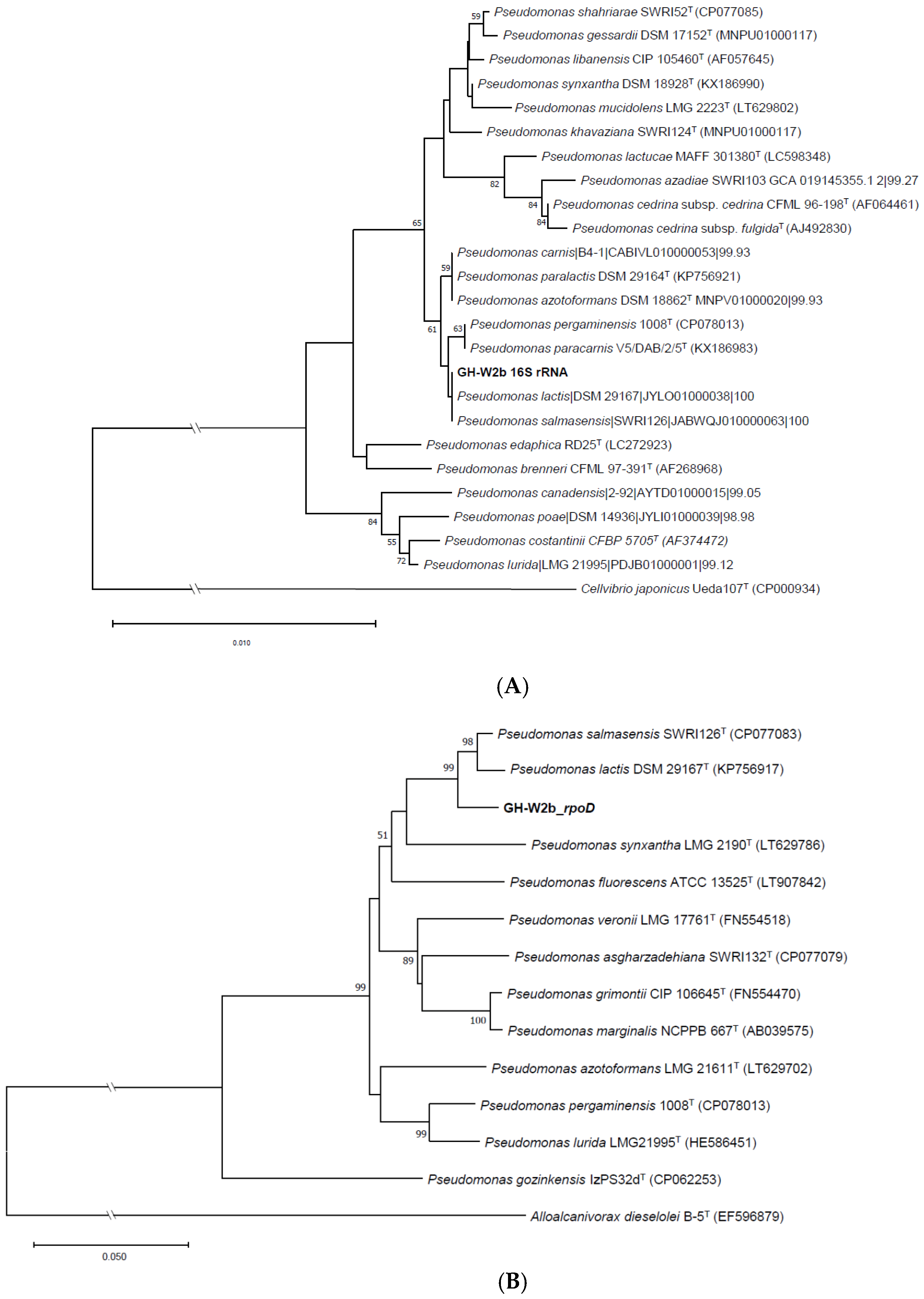 Microbiolres 16 00002 g002