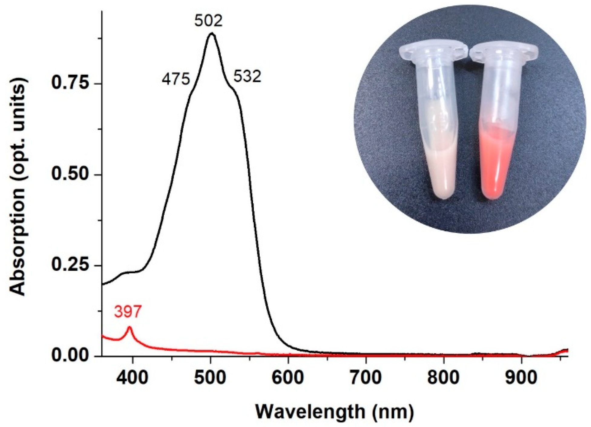Microbiolres 16 00005 g001