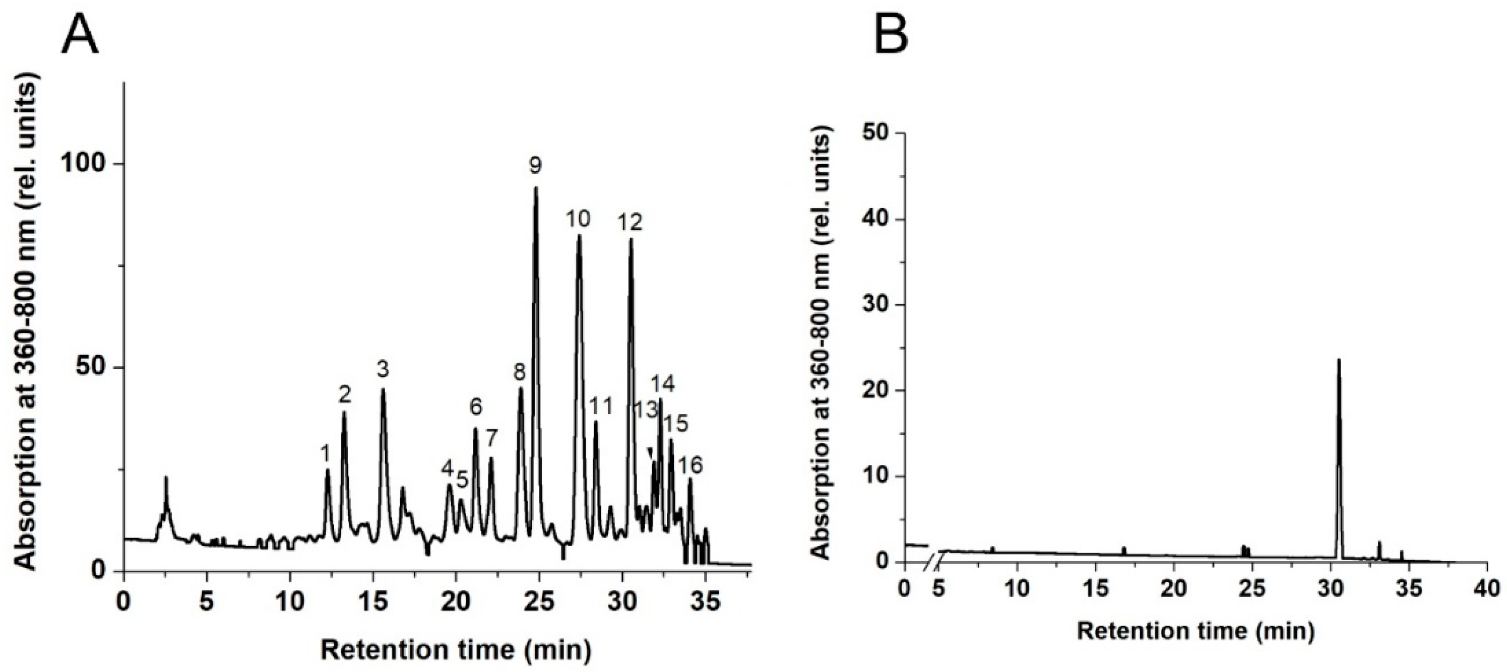 Microbiolres 16 00005 g002