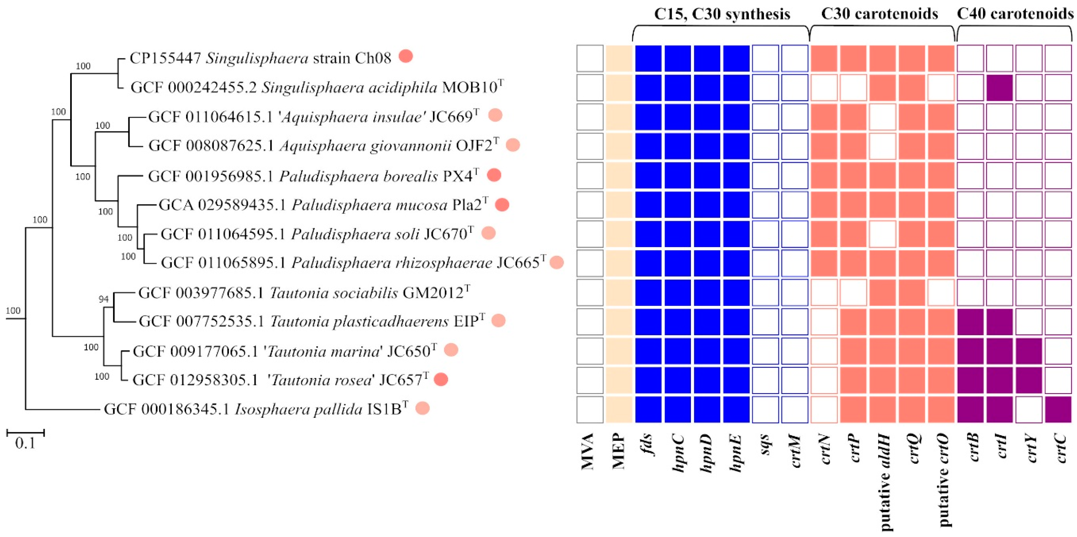 Microbiolres 16 00005 g003
