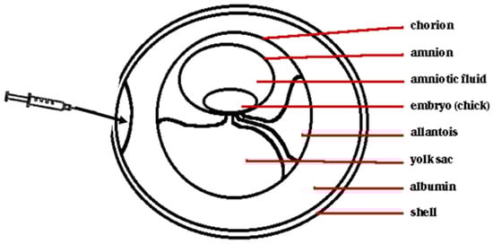 Microbiolres 16 00007 g001