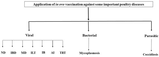 Microbiolres 16 00007 g002