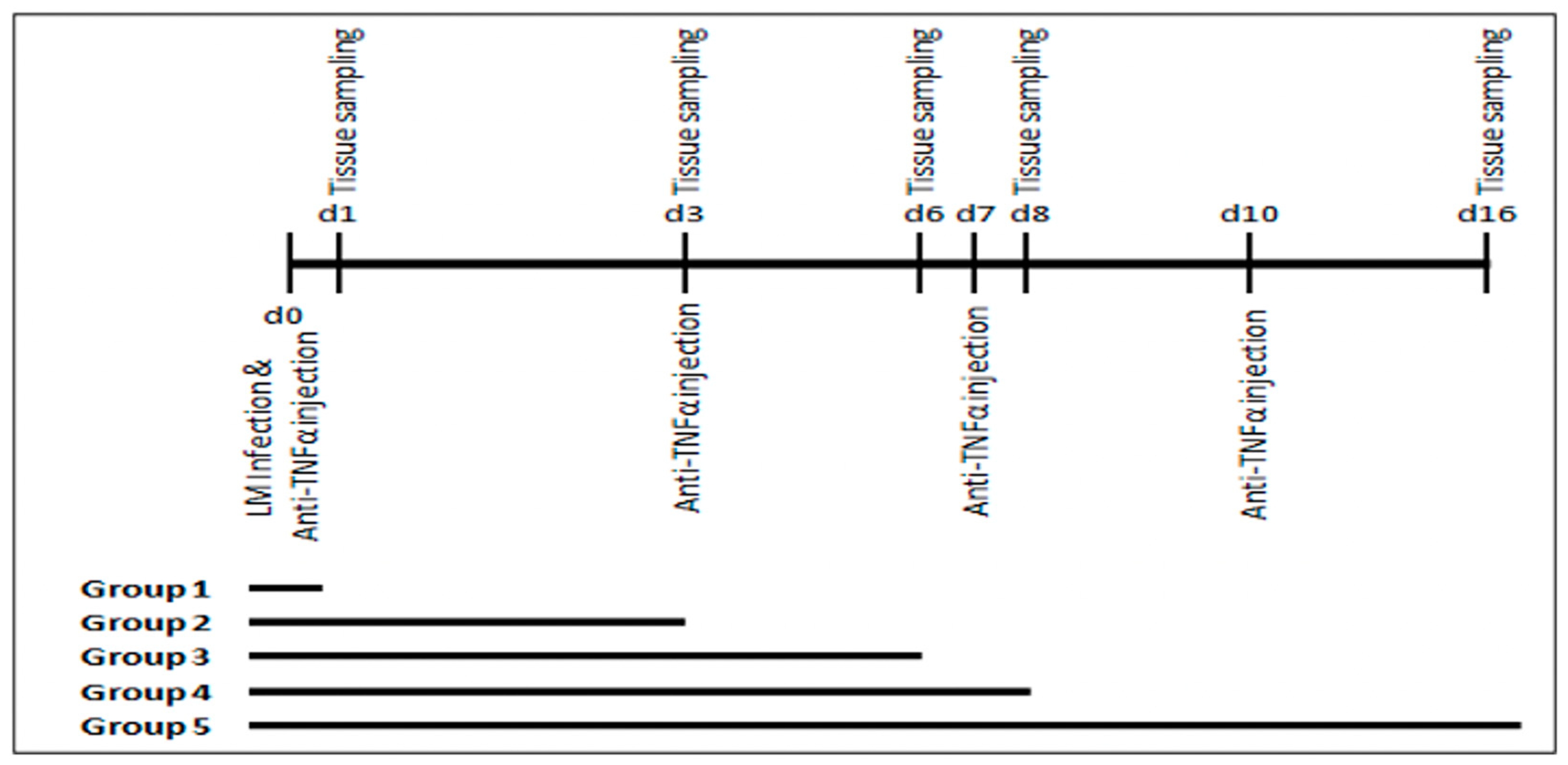 Microbiolres 16 00008 g001