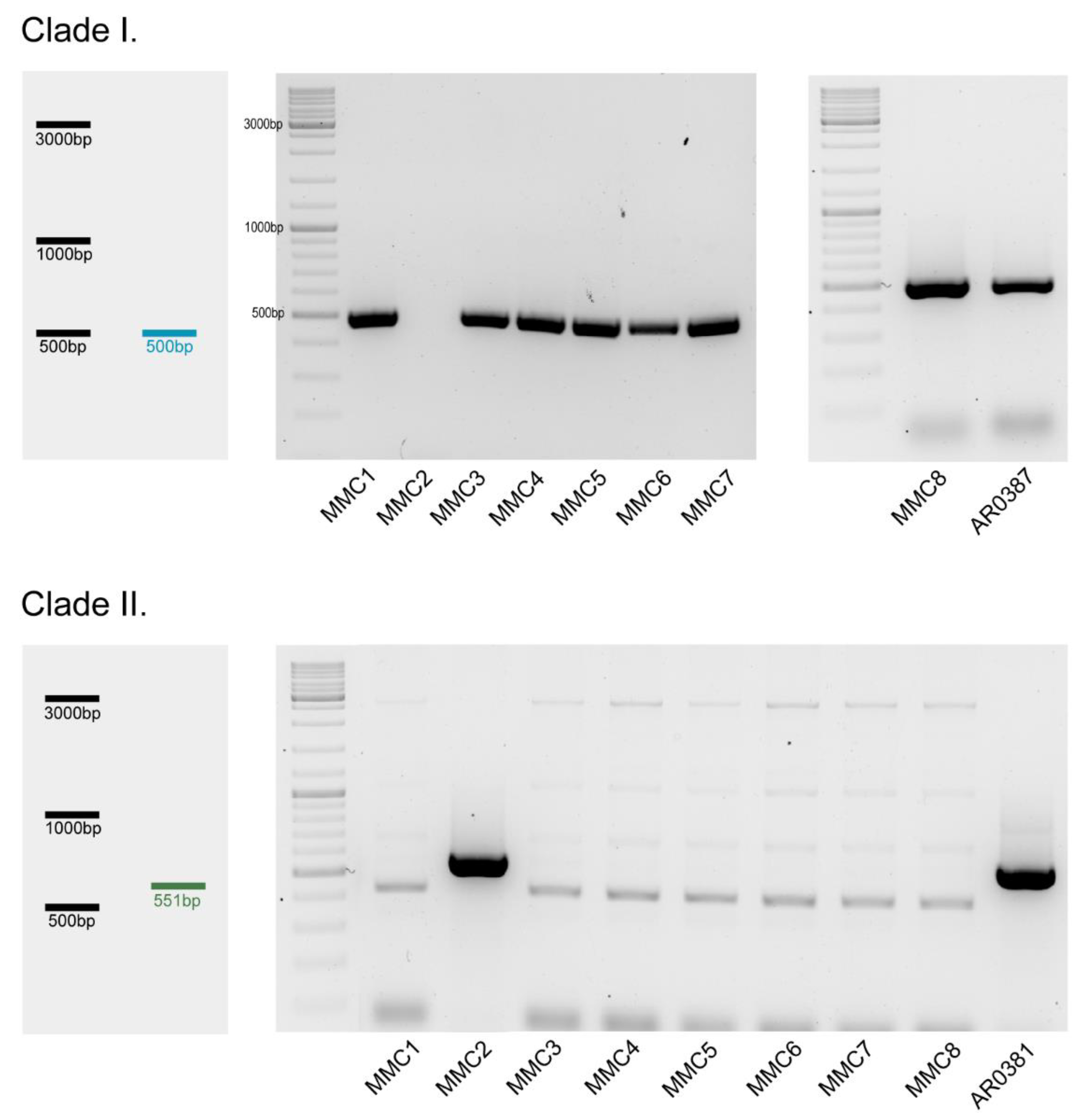 Microbiolres 16 00015 g001