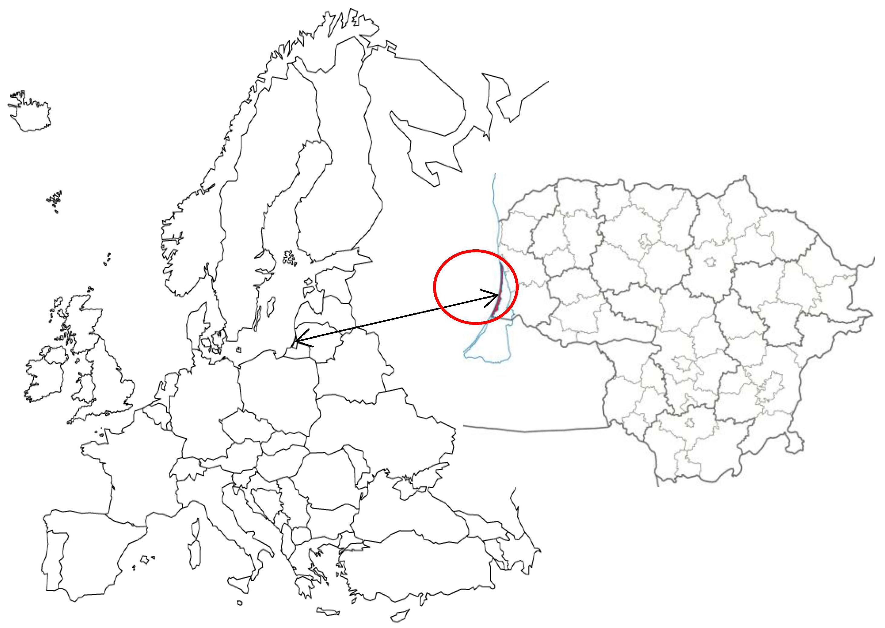 Microbiolres 16 00026 g001