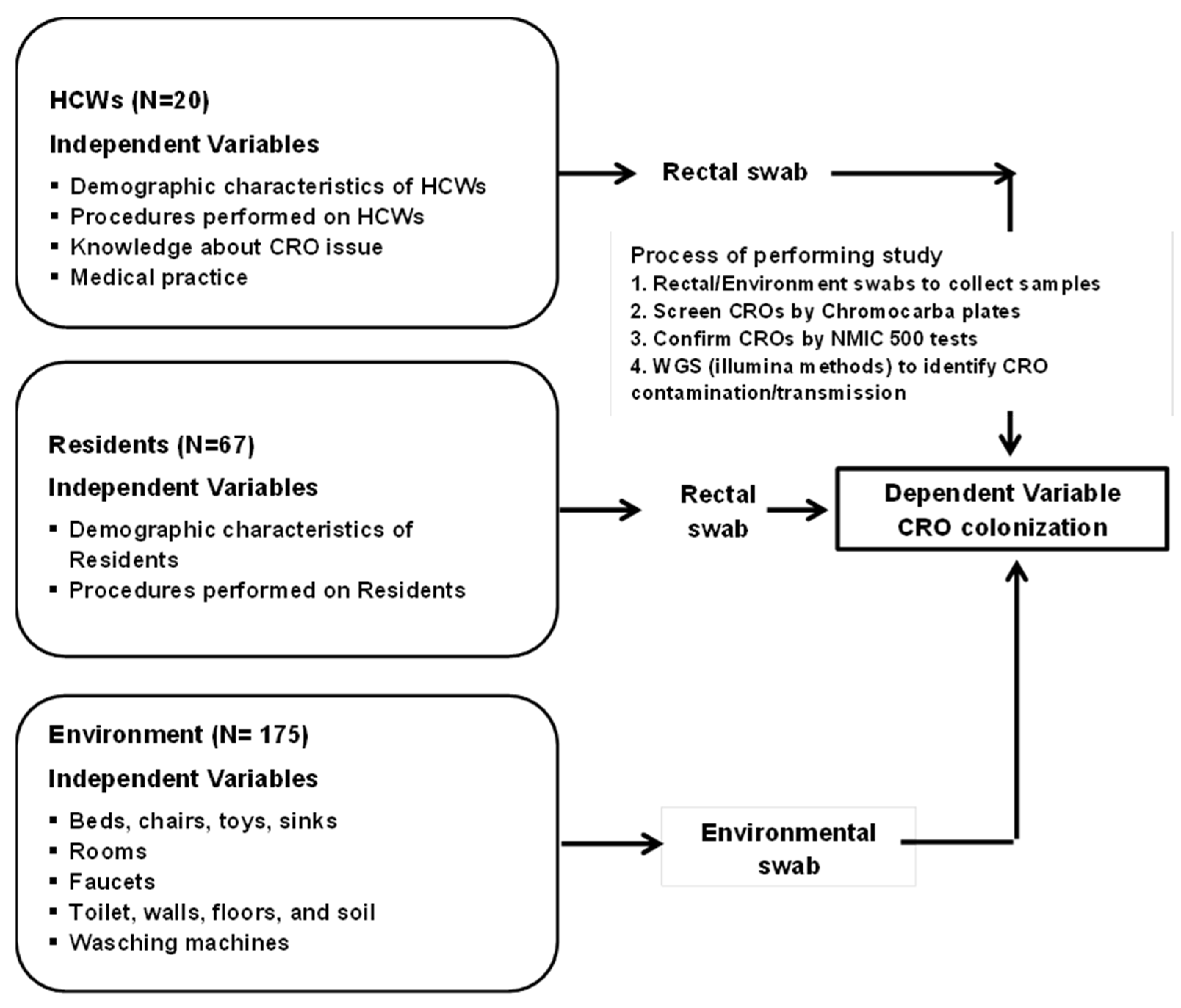 Microbiolres 16 00028 g001