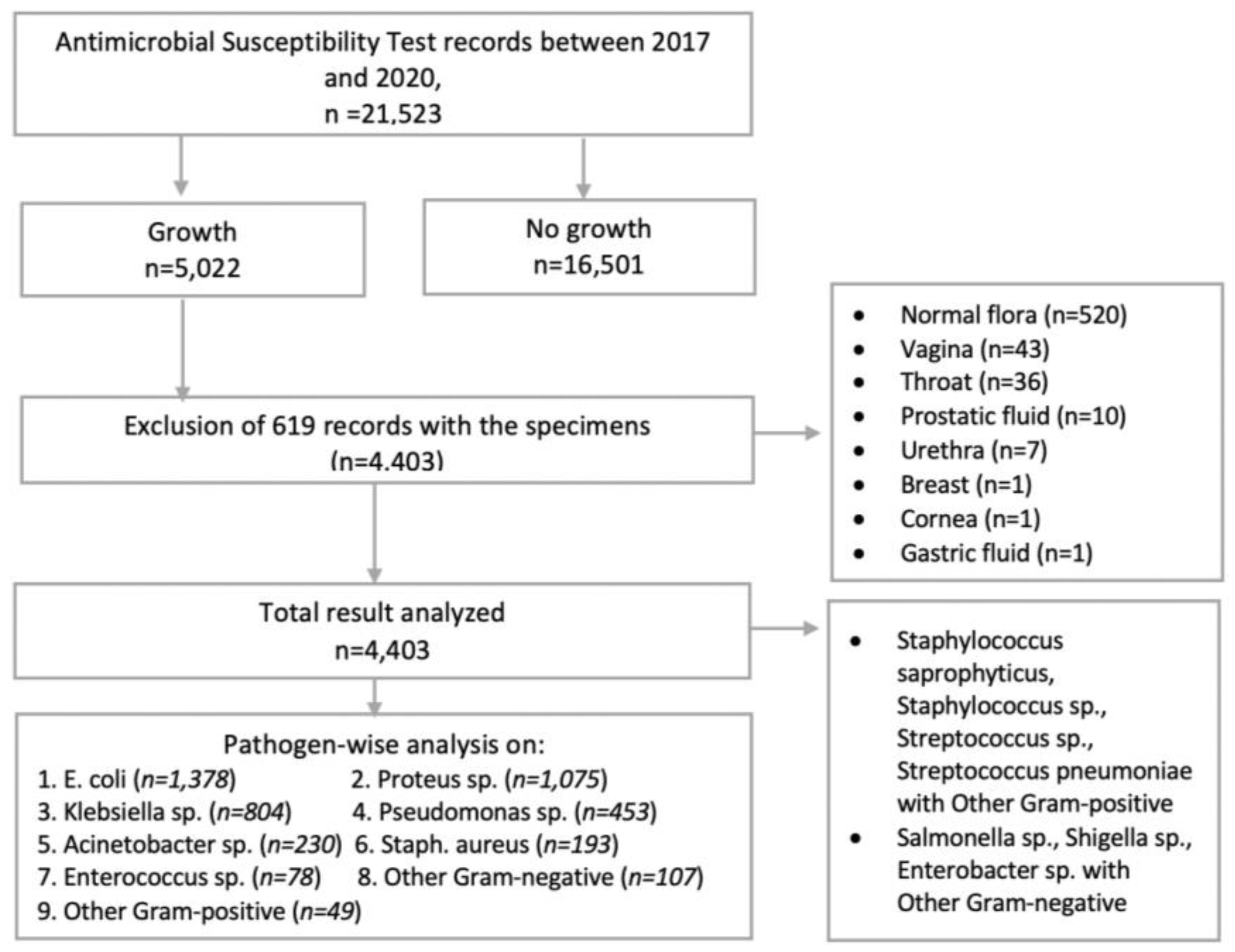 Microbiolres 16 00030 g001