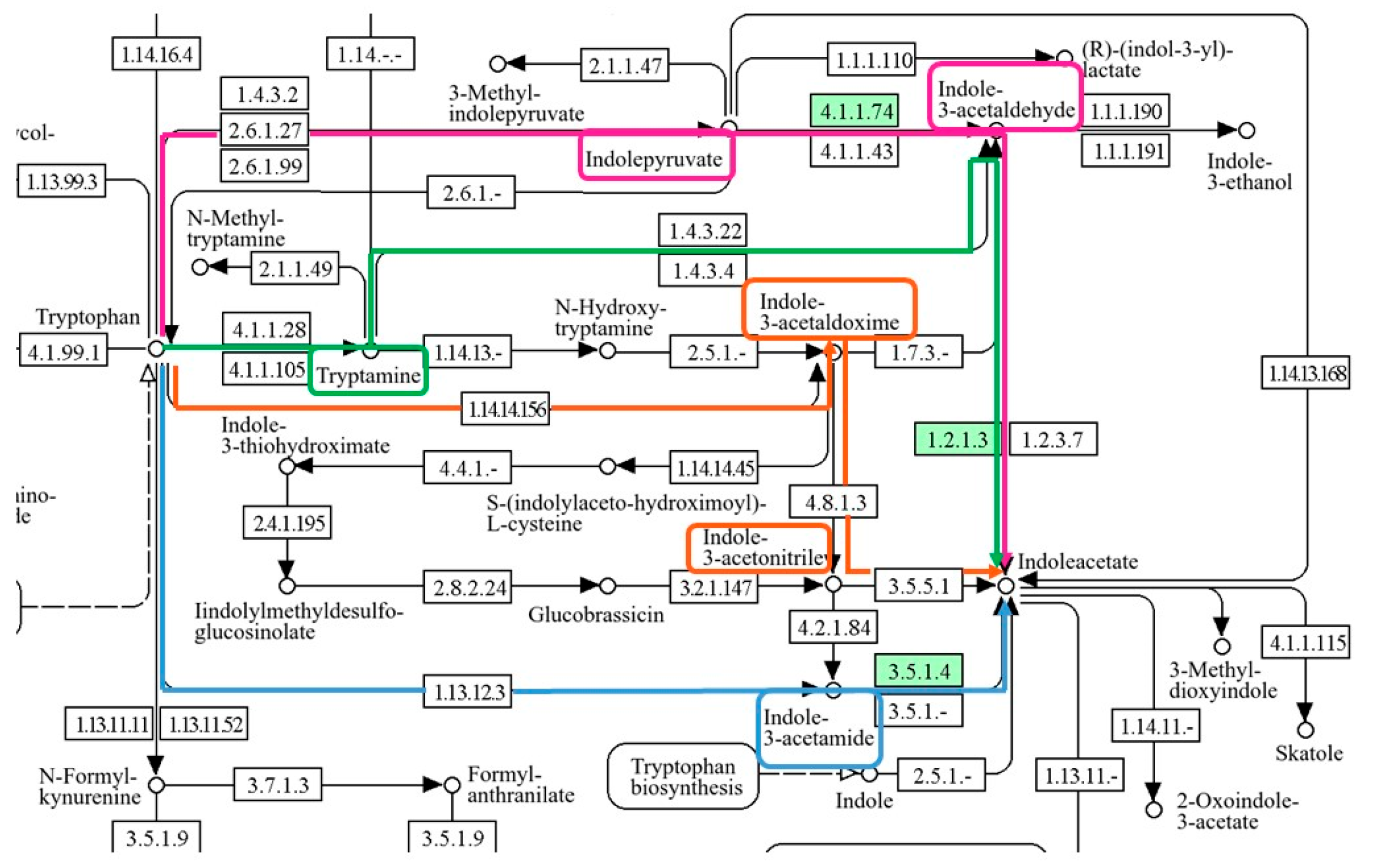 Microbiolres 16 00034 g002
