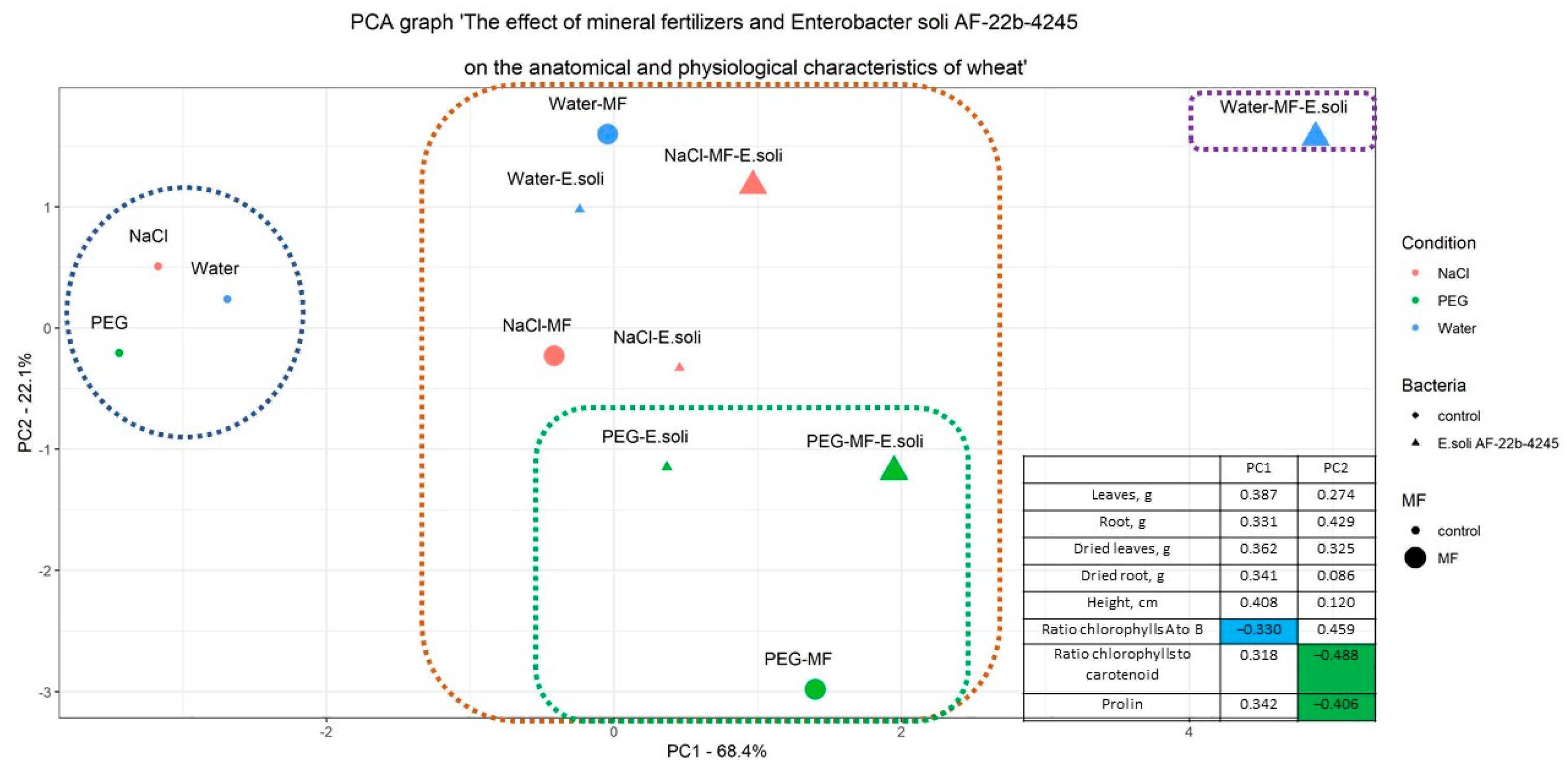 Microbiolres 16 00034 g006