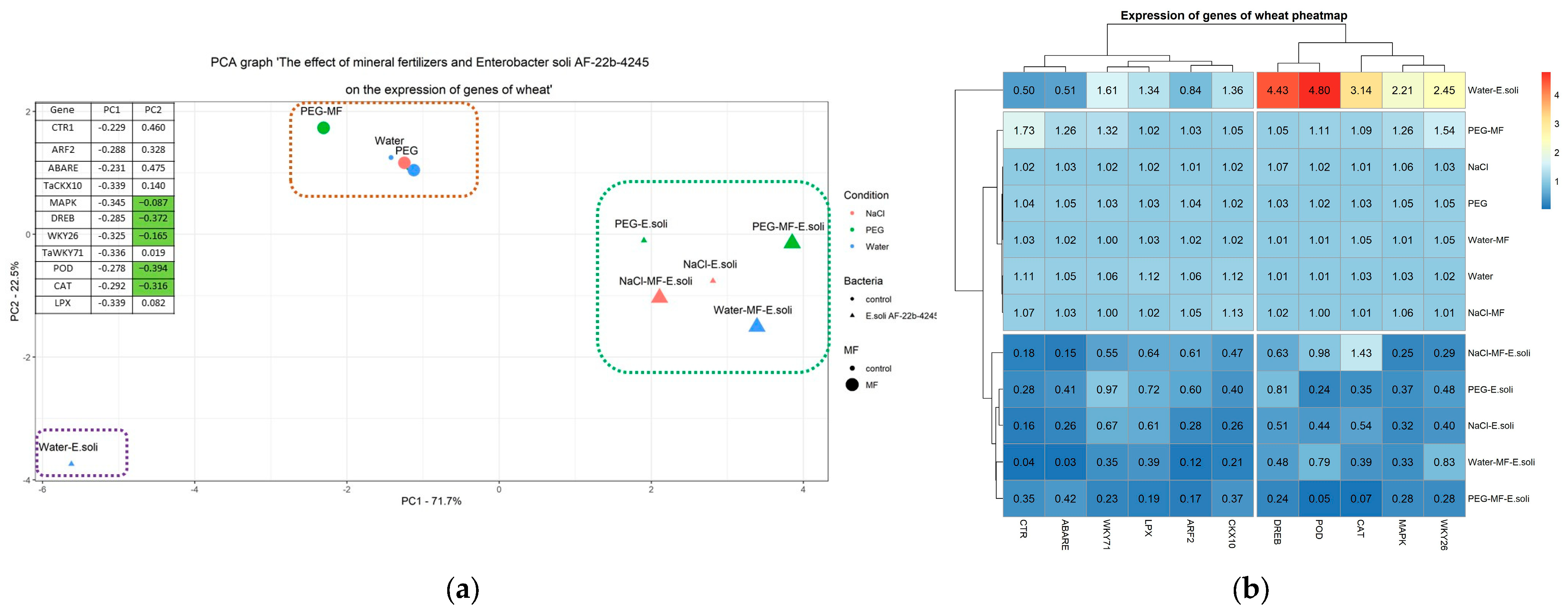 Microbiolres 16 00034 g007