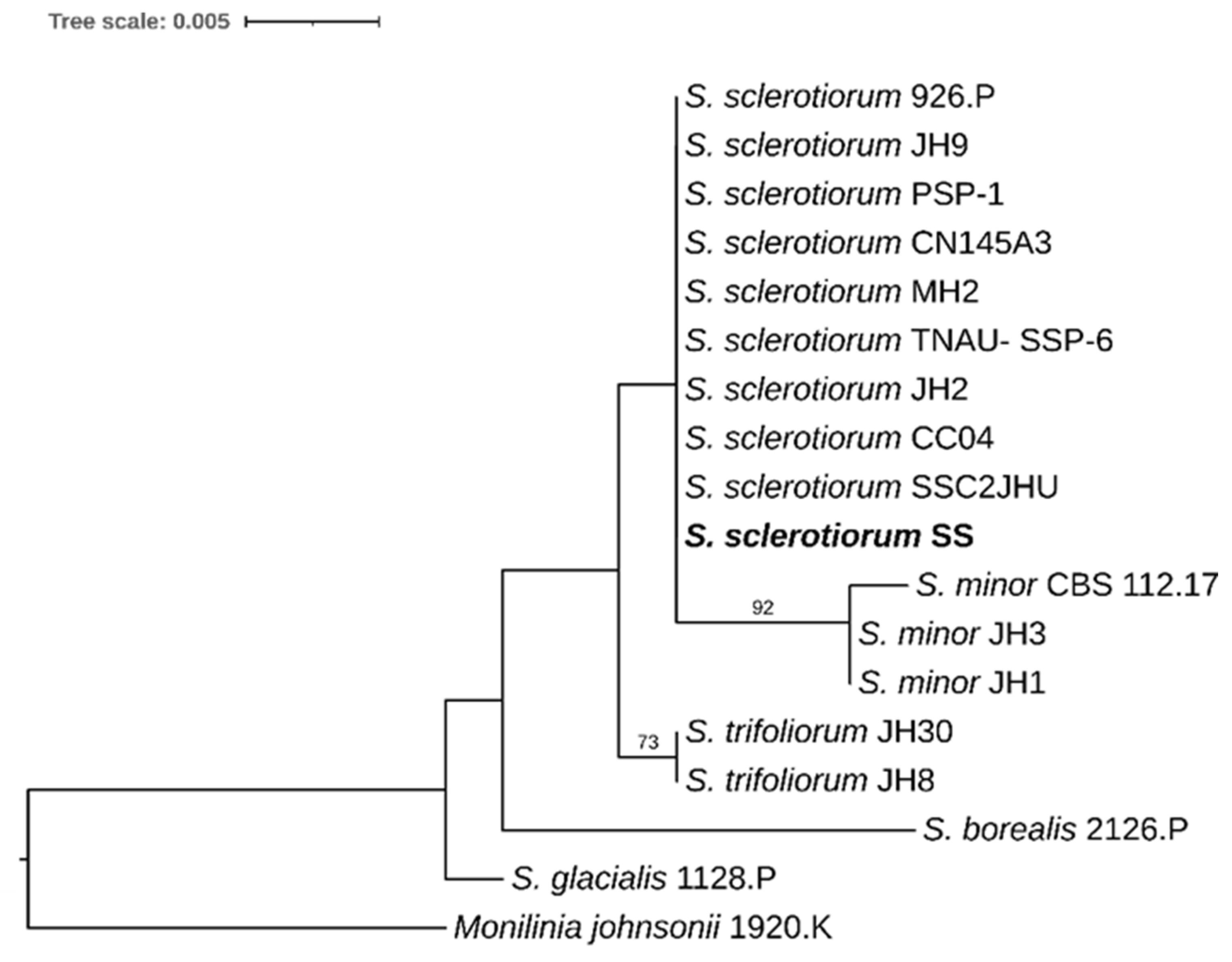Microbiolres 16 00035 g001