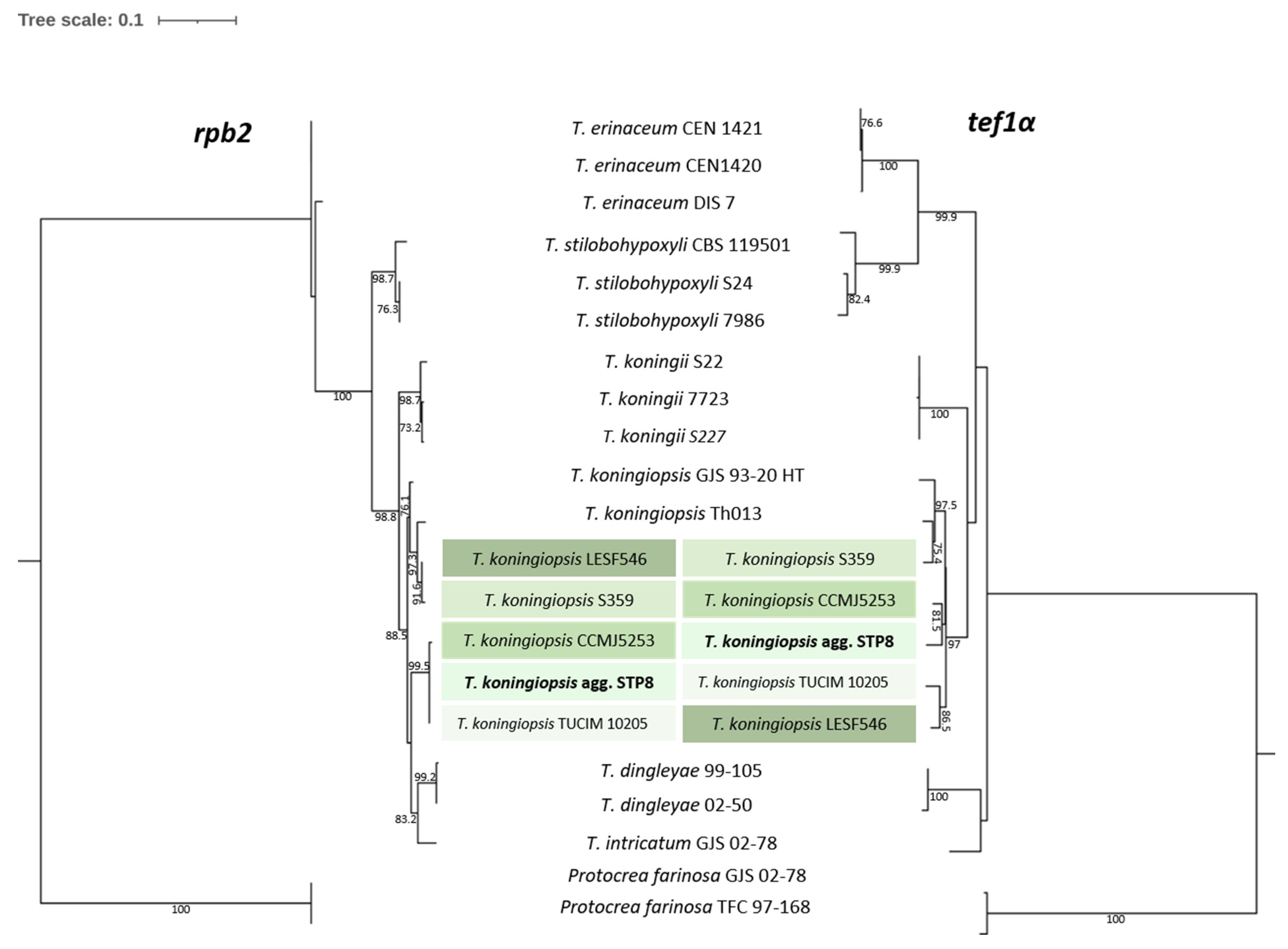 Microbiolres 16 00035 g002