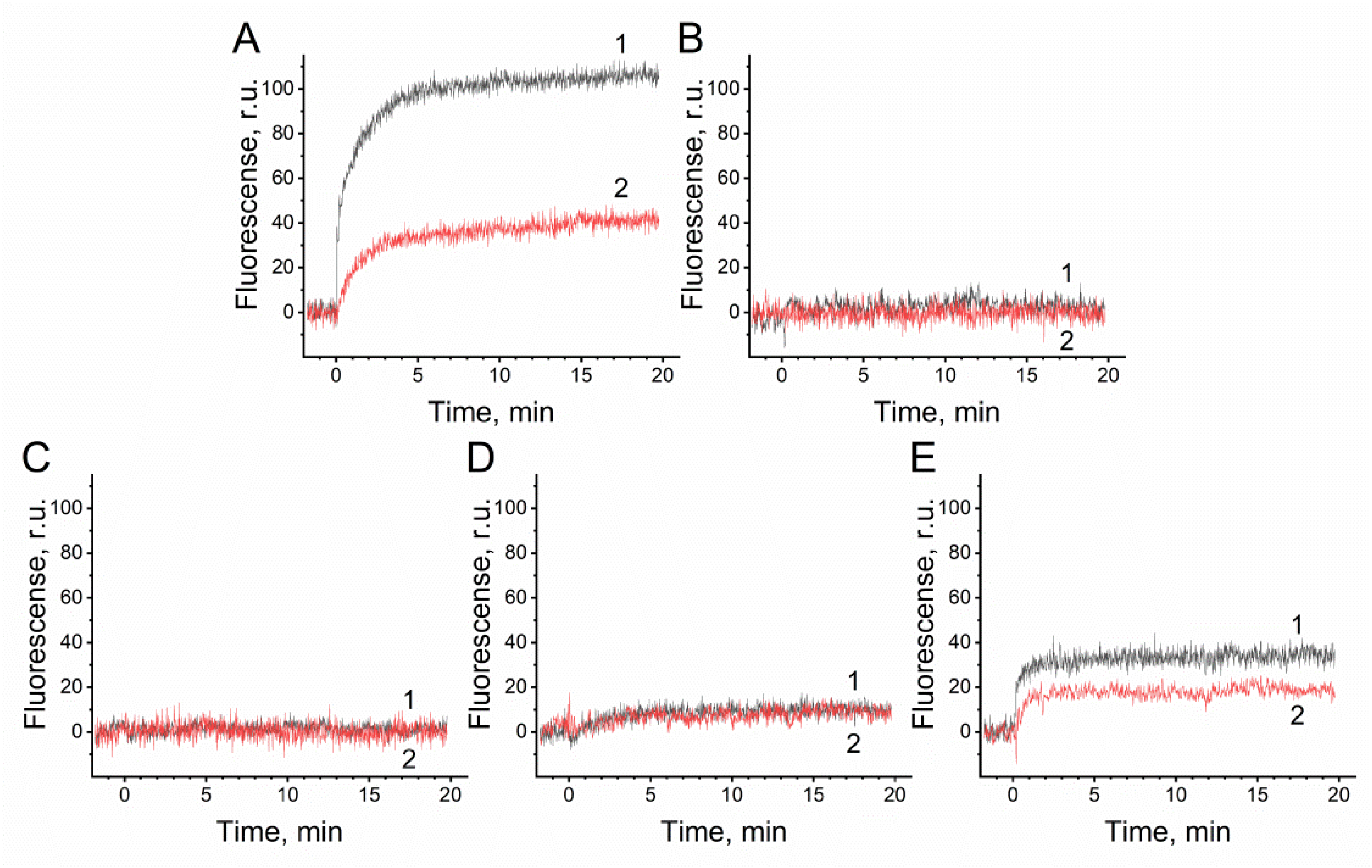 Microbiolres 16 00036 g007