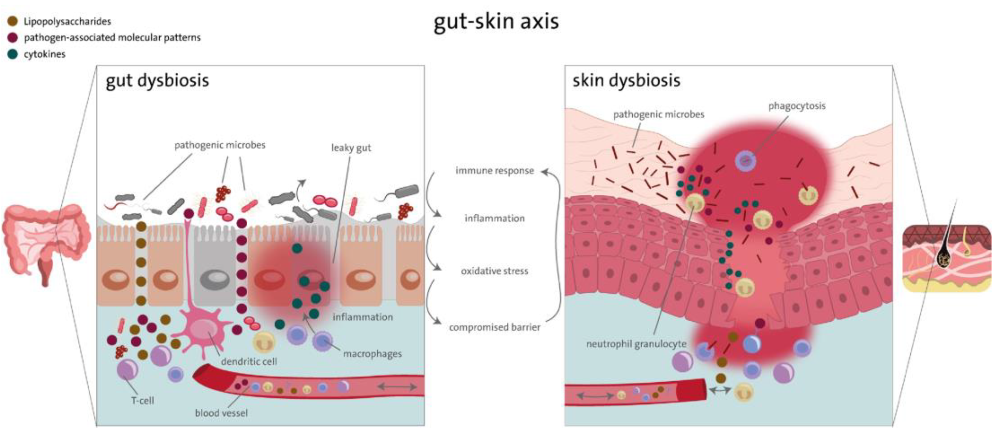 Microbiolres 16 00039 g002