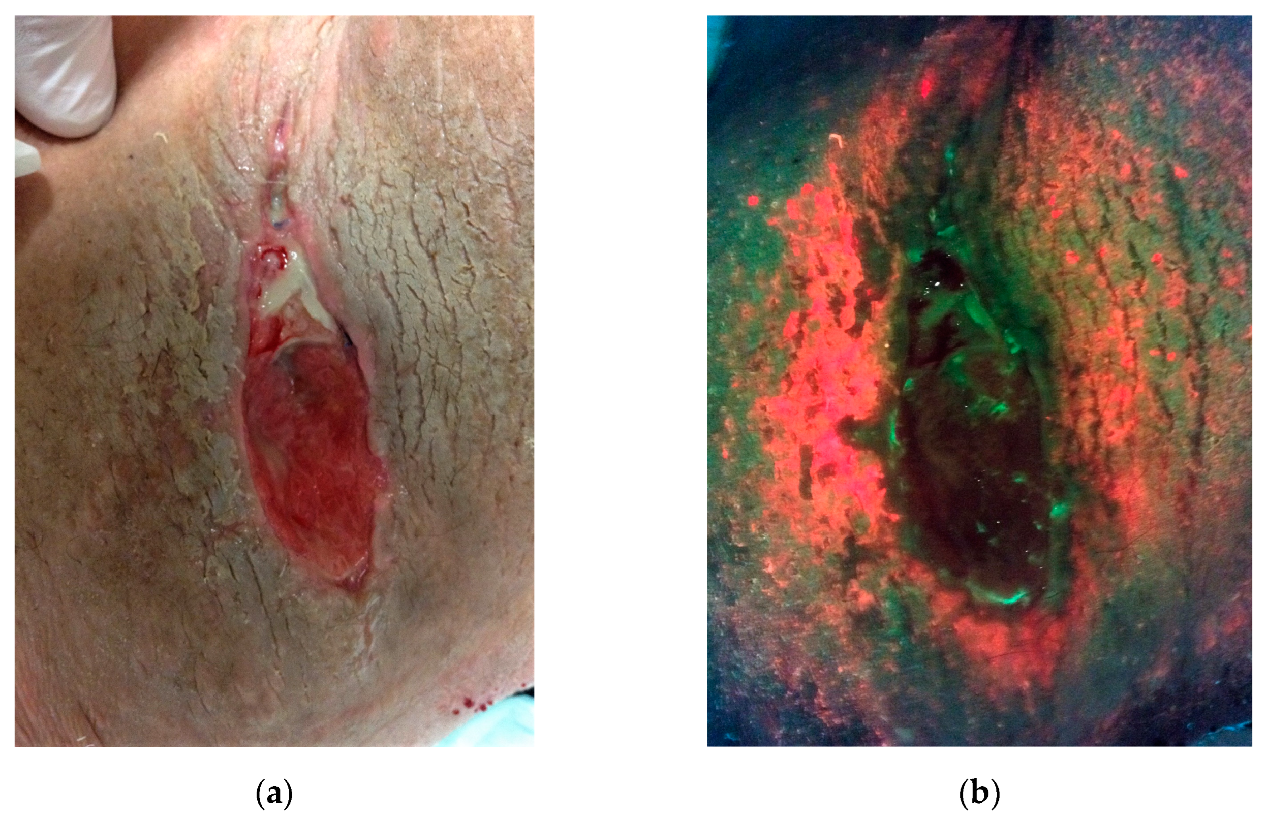 Microbiolres 16 00039 g003