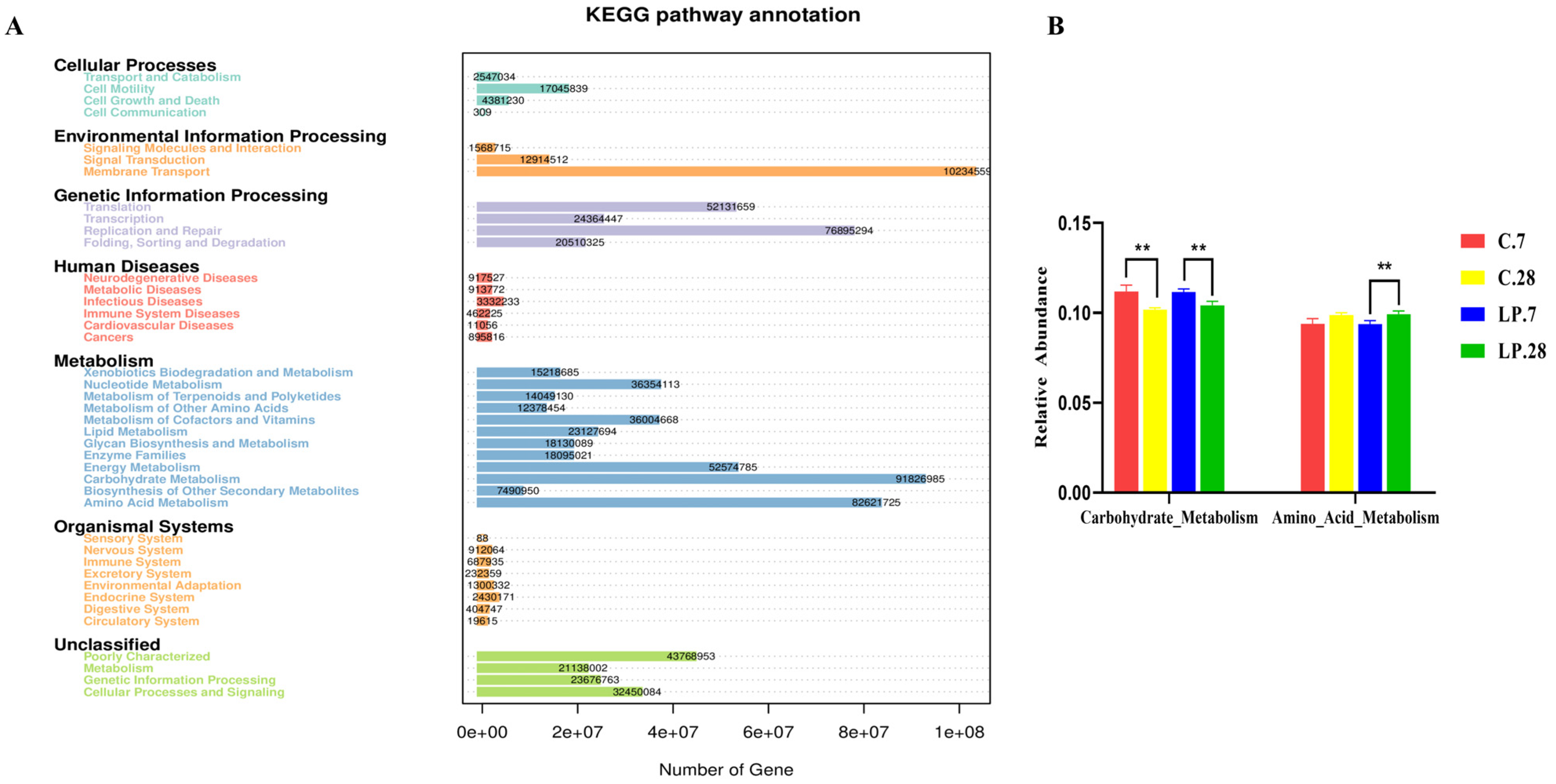 Microbiolres 16 00041 g005