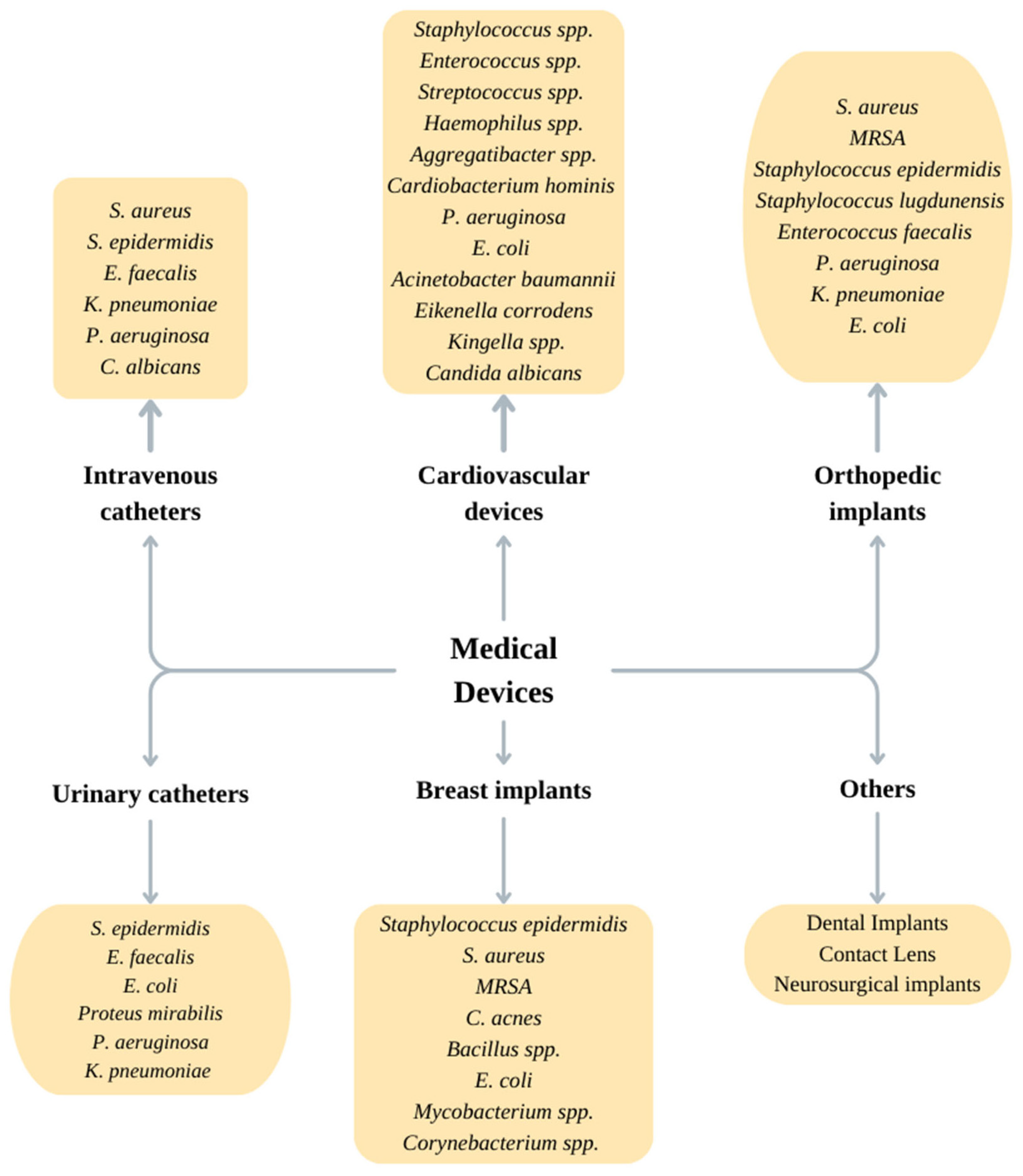 Microbiolres 16 00046 g003
