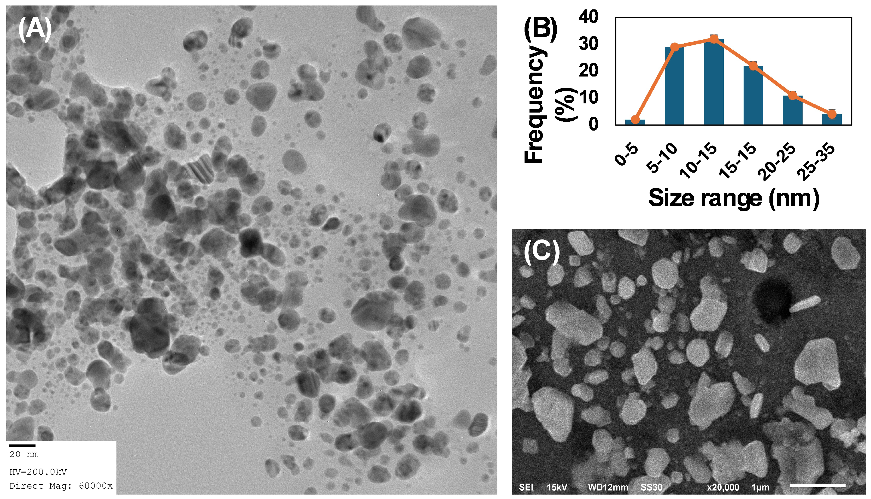 Microbiolres 16 00048 g002