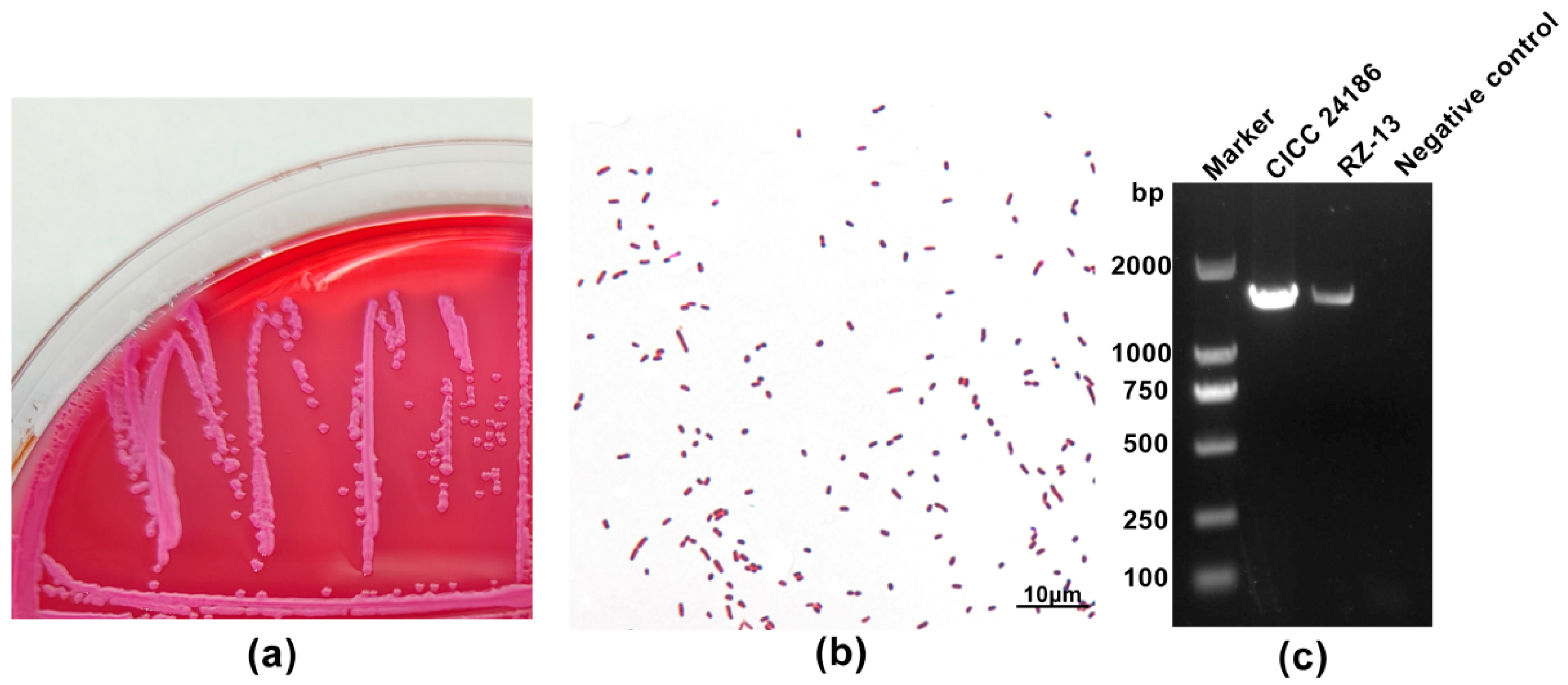 Microbiolres 16 00059 g001 Microbiolres 16 00059 g001