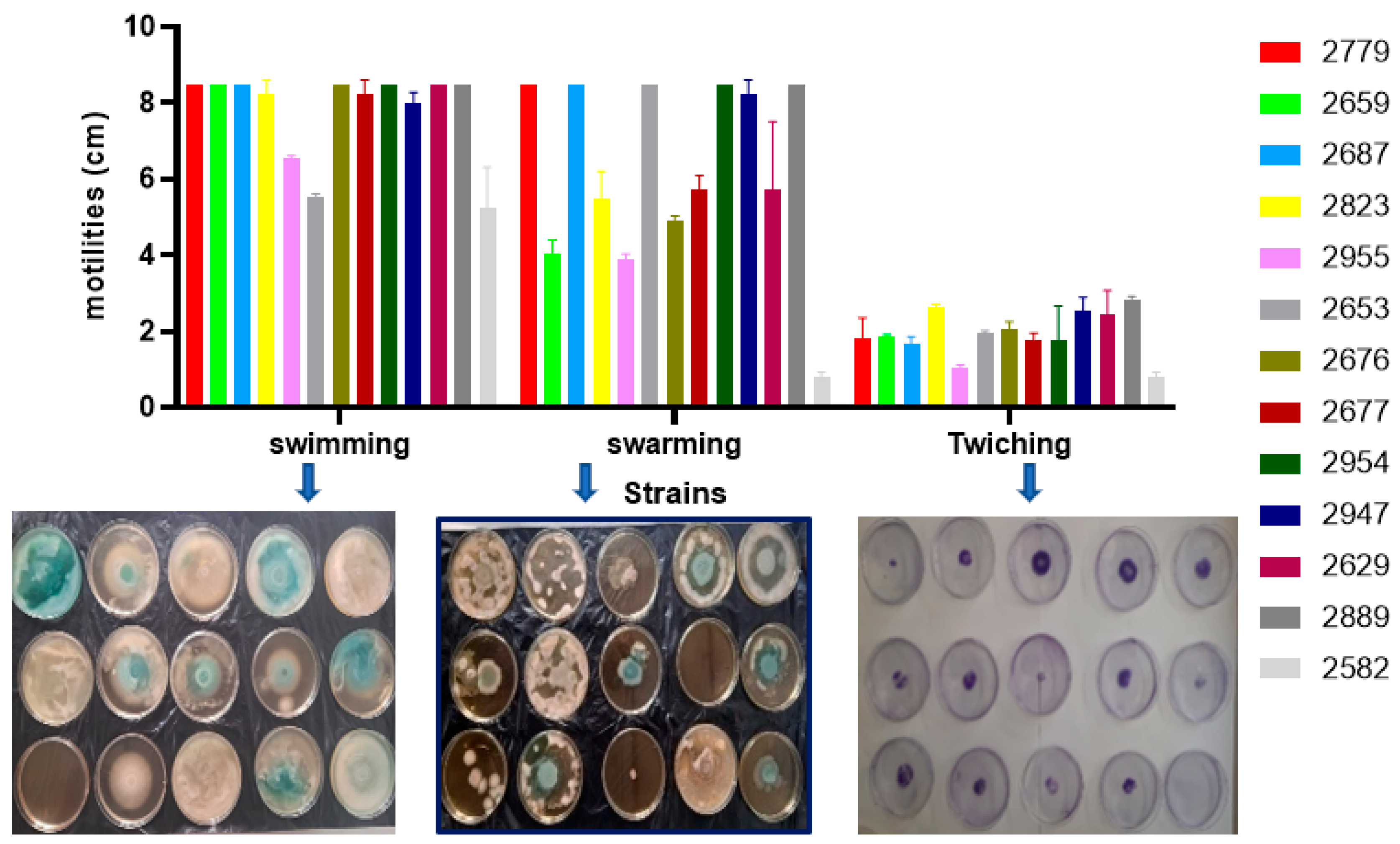 Microbiolres 16 00062 g003 Microbiolres 16 00062 g003