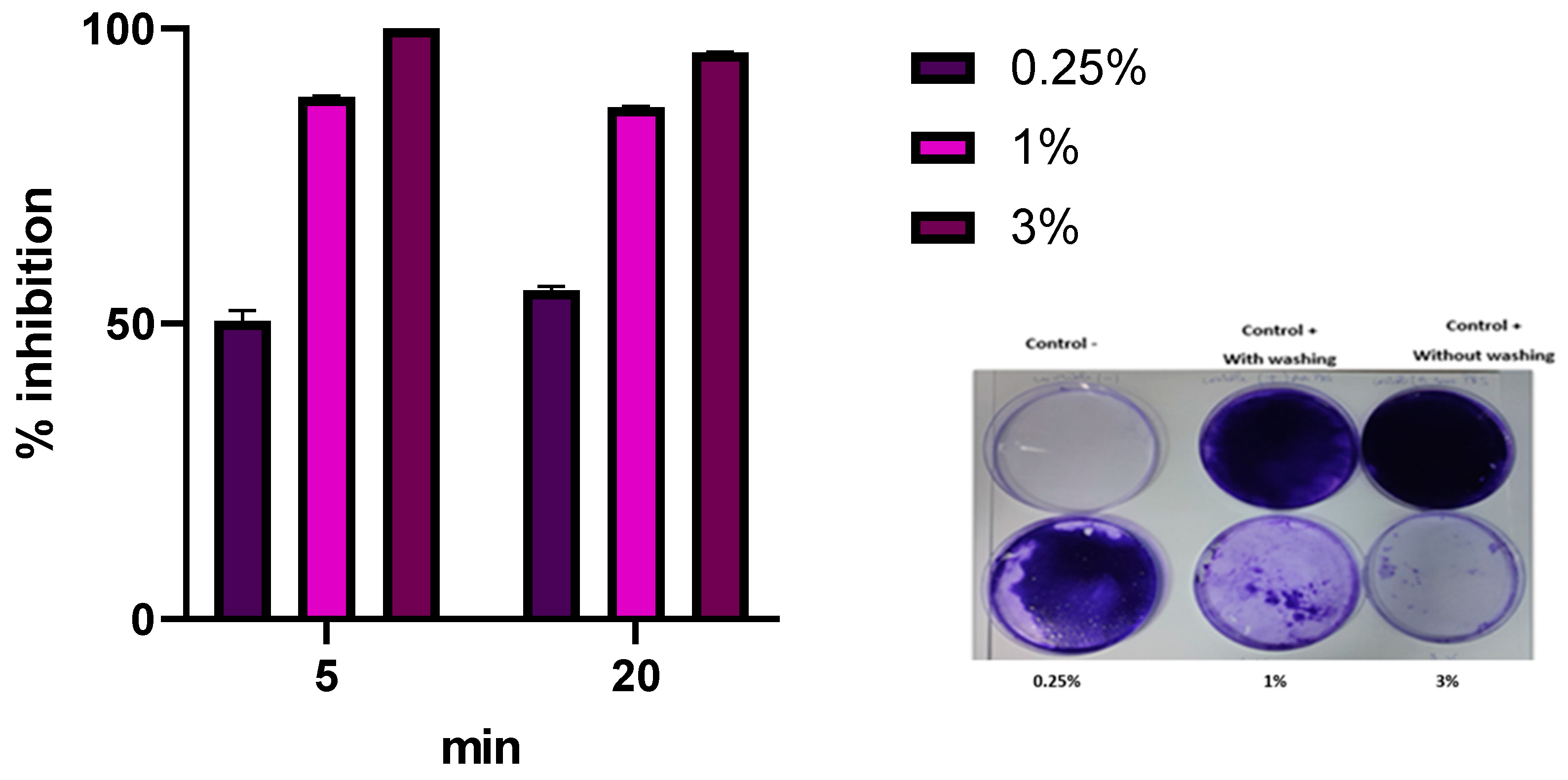 Microbiolres 16 00062 g007 Microbiolres 16 00062 g007