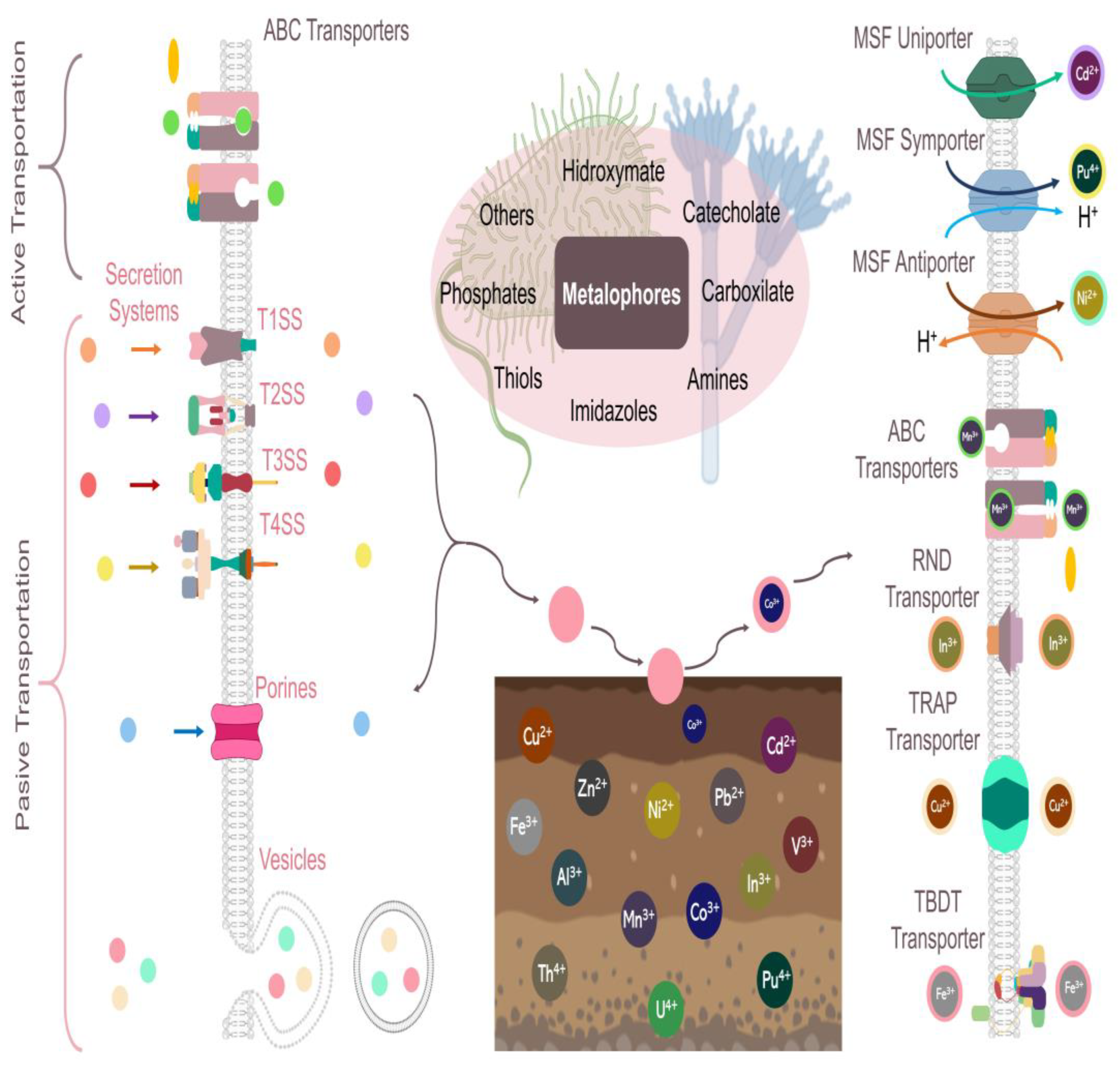 Microbiolres 16 00067 g001