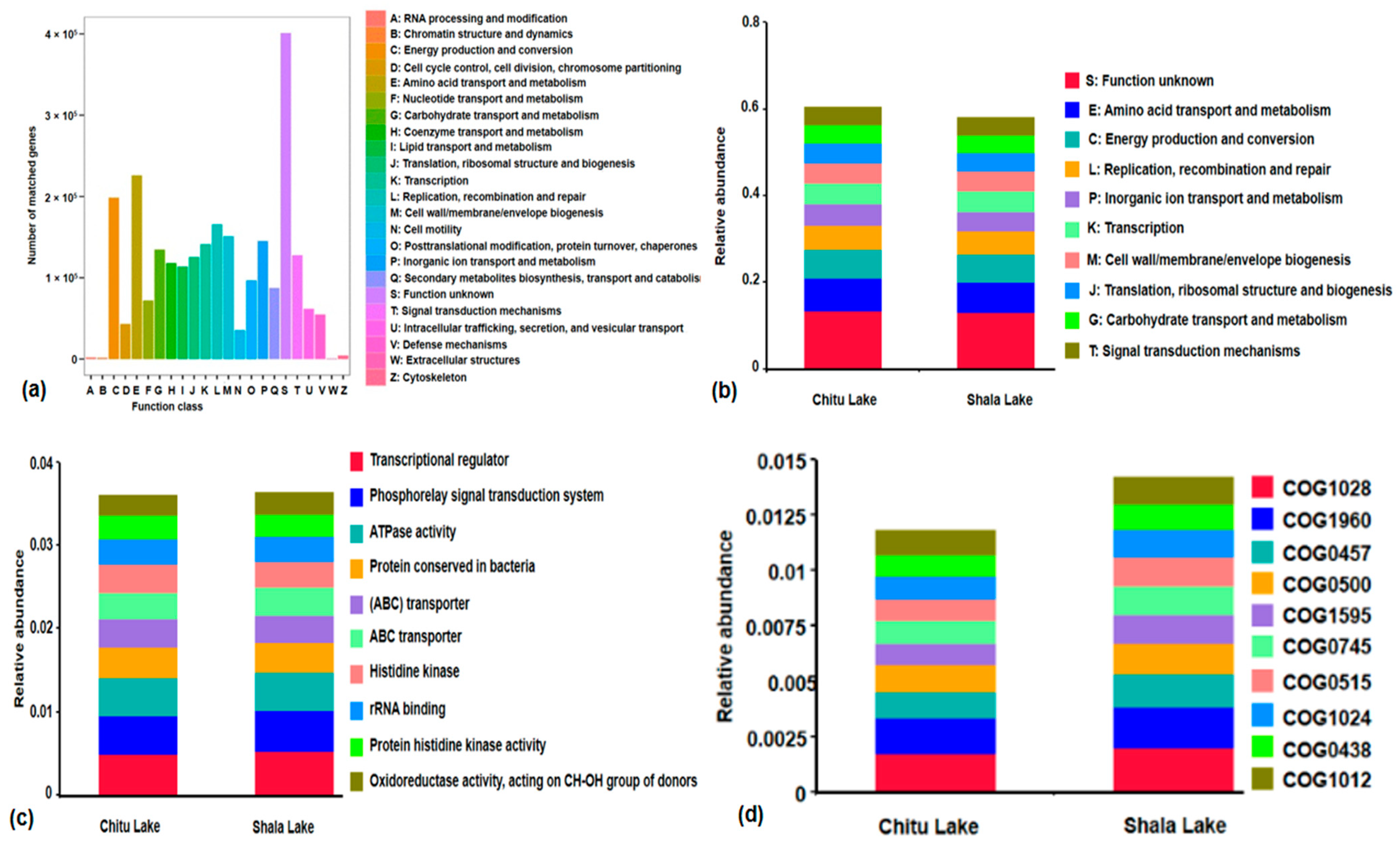 Microbiolres 16 00071 g005 Microbiolres 16 00071 g005