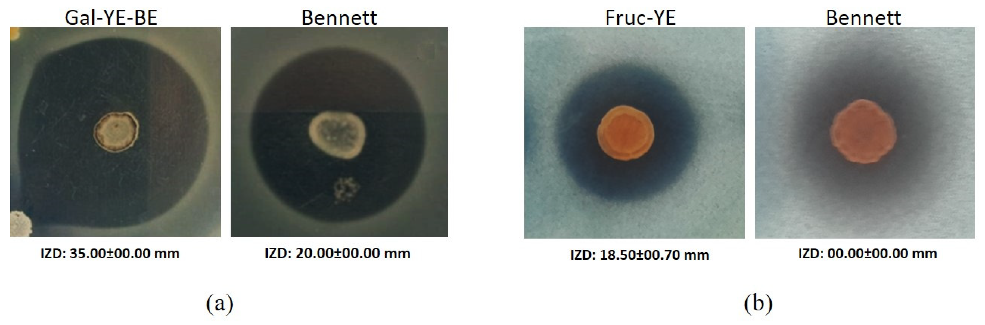 Microbiolres 16 00072 g004 Microbiolres 16 00072 g004