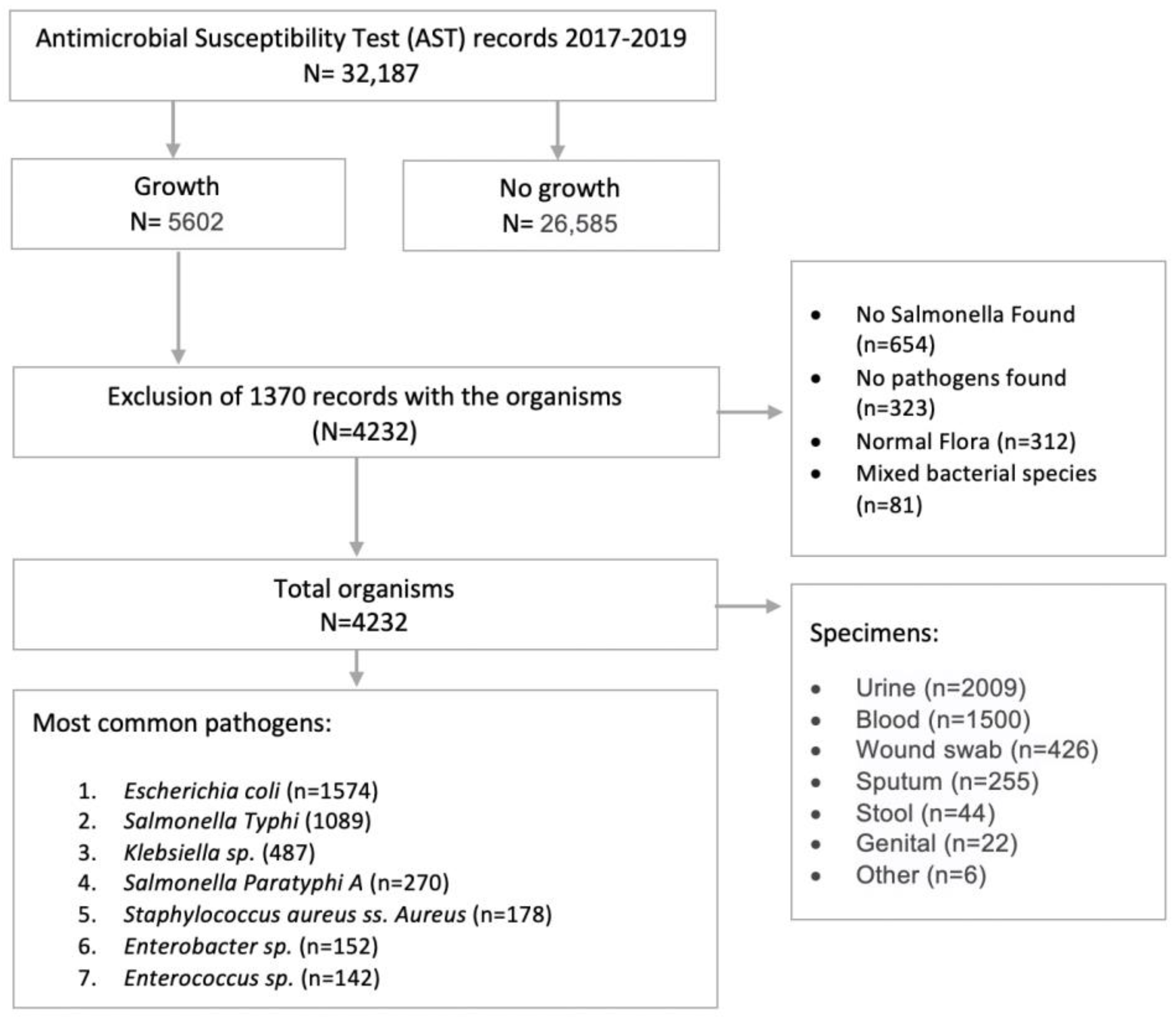 Microbiolres 16 00079 g001