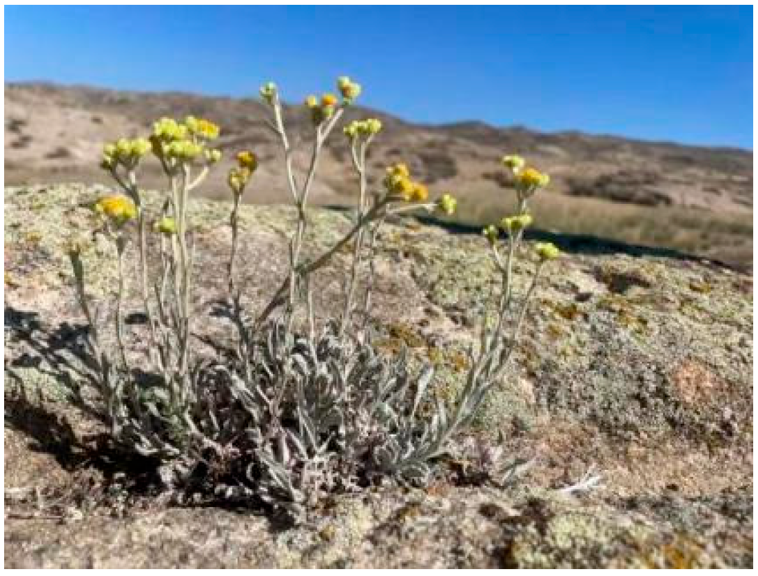 Microbiolres 16 00089 g001