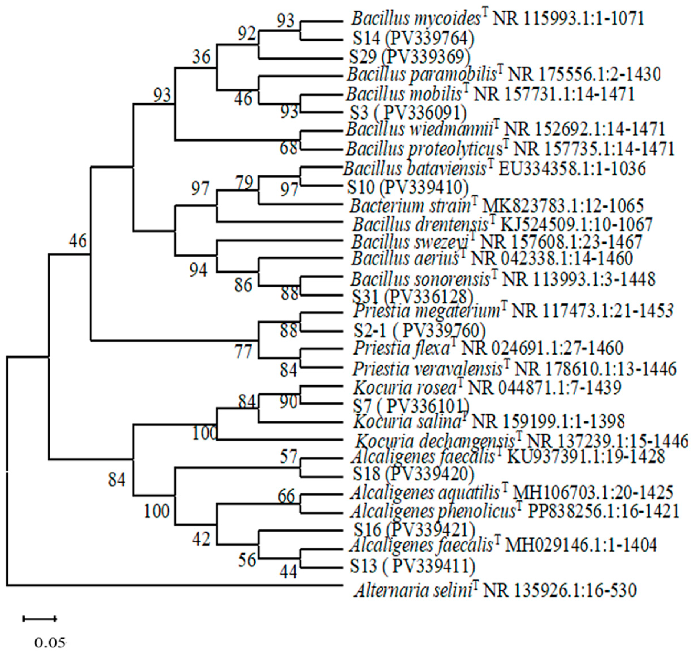 Microbiolres 16 00089 g007