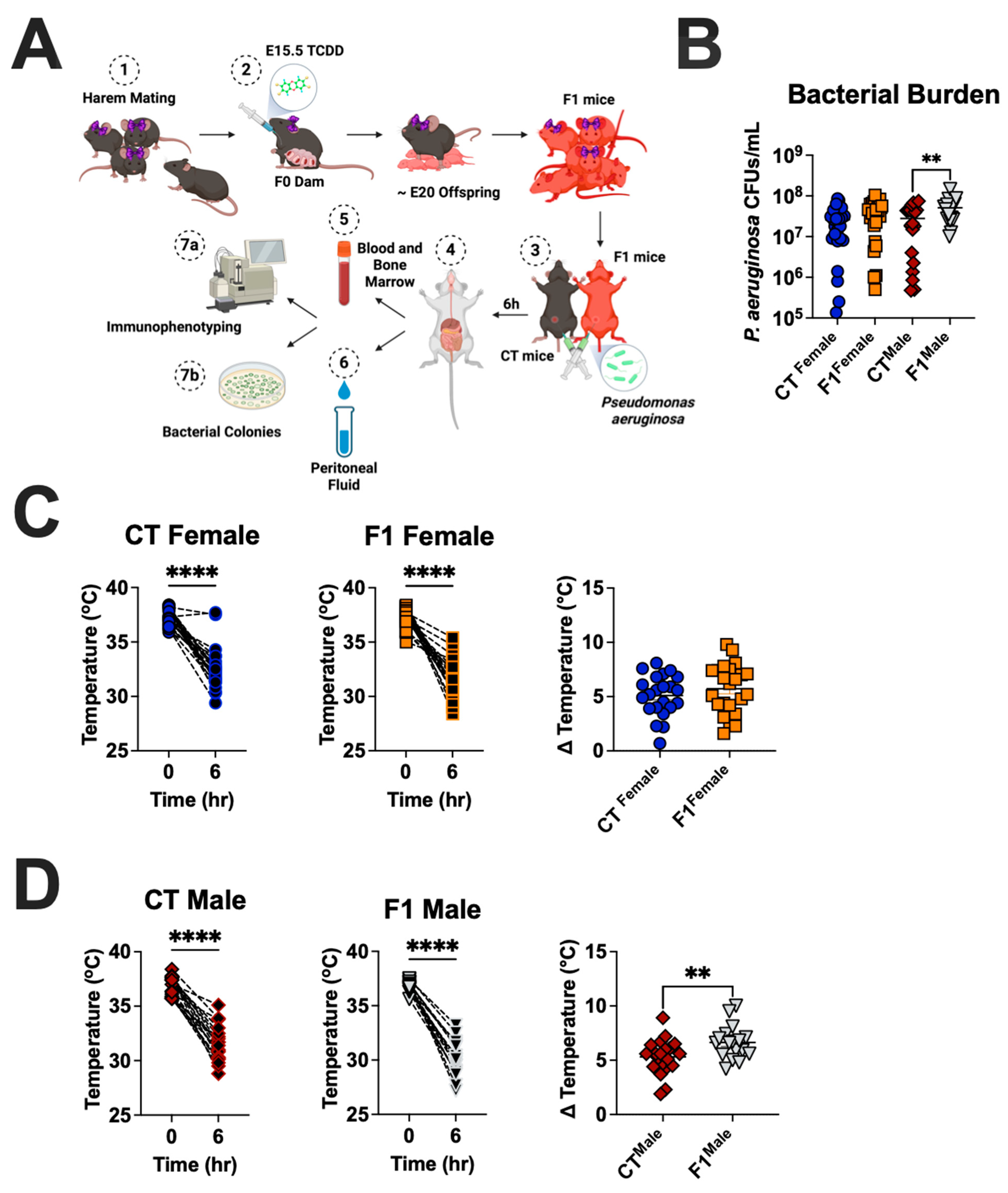 Microbiolres 16 00091 g002