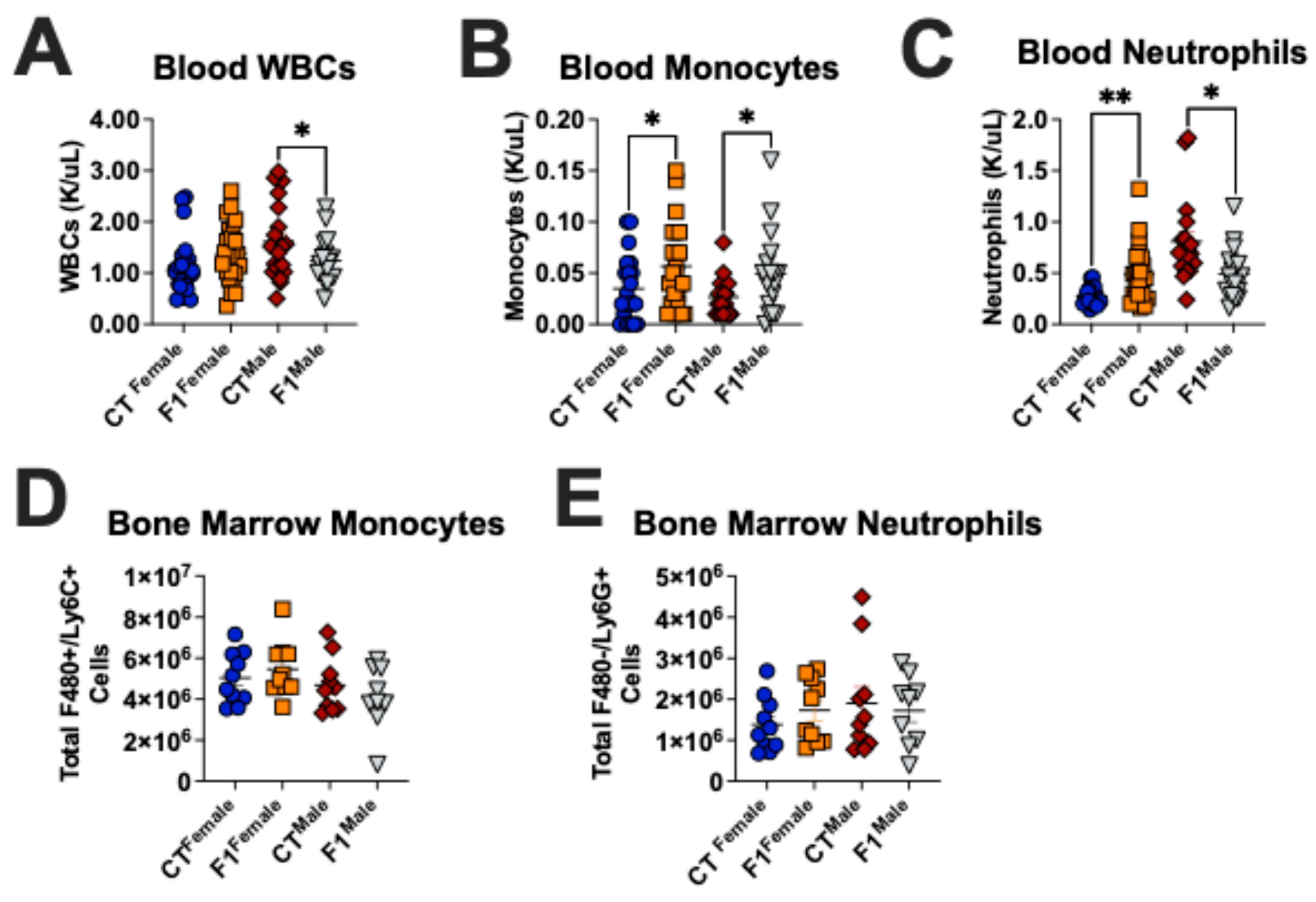 Microbiolres 16 00091 g004