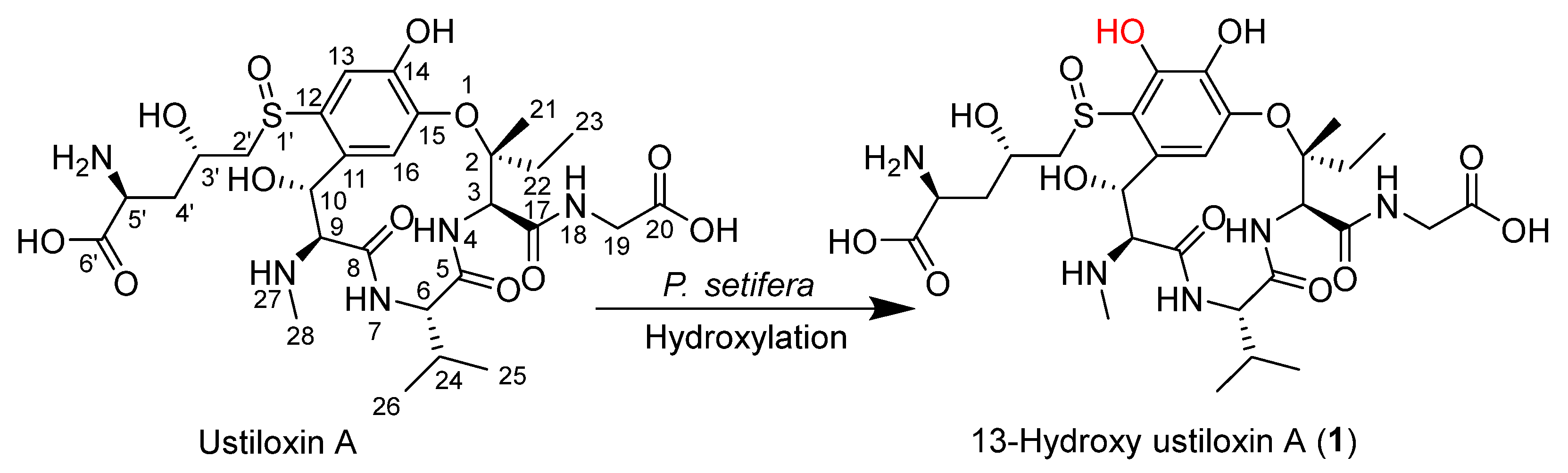 Microbiolres 16 00093 g001