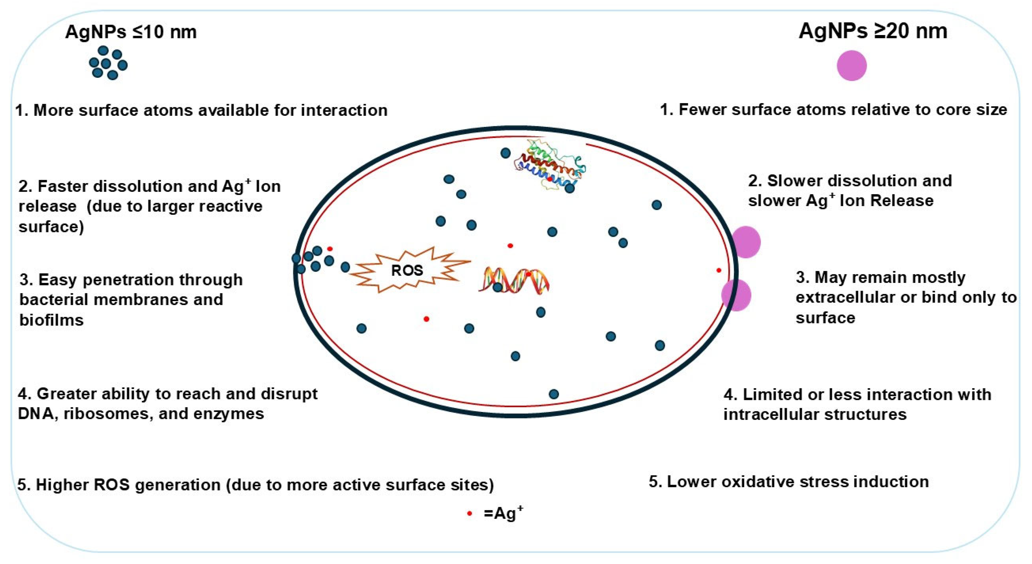 Microbiolres 16 00110 g001