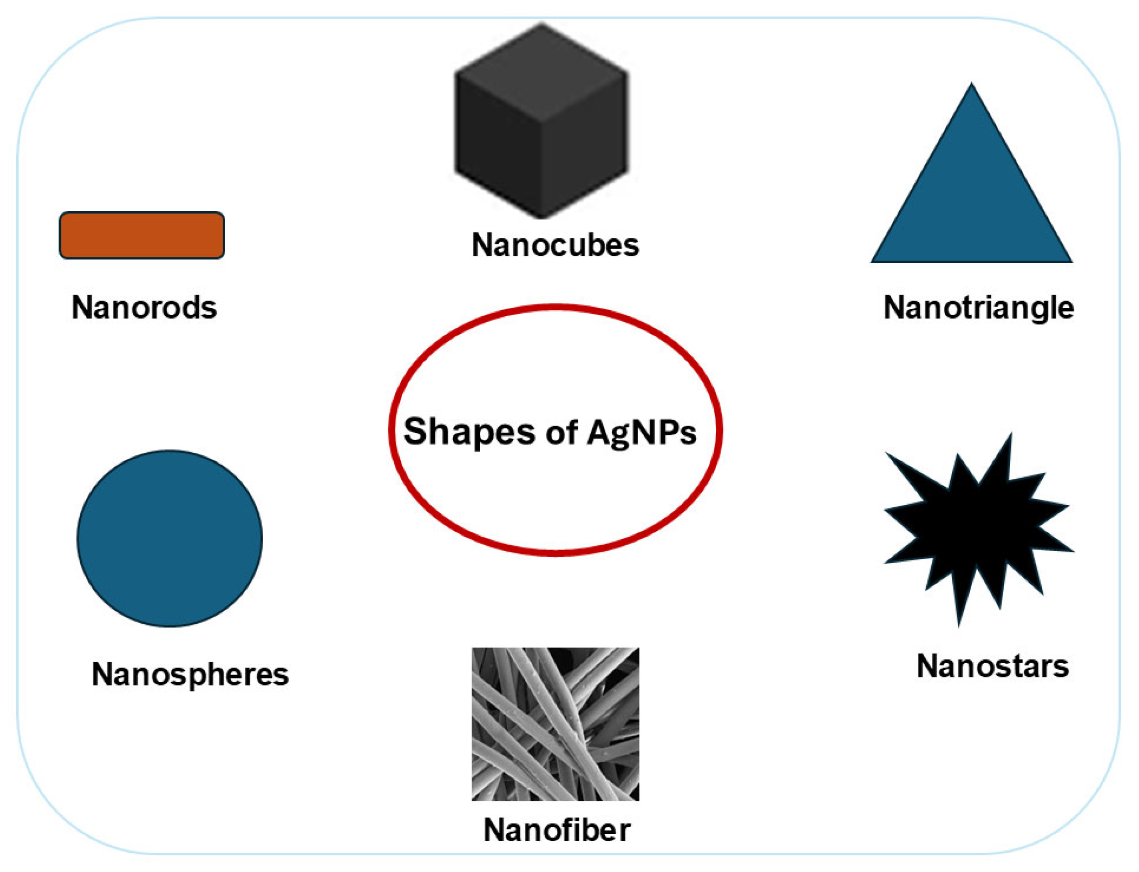 Microbiolres 16 00110 g002