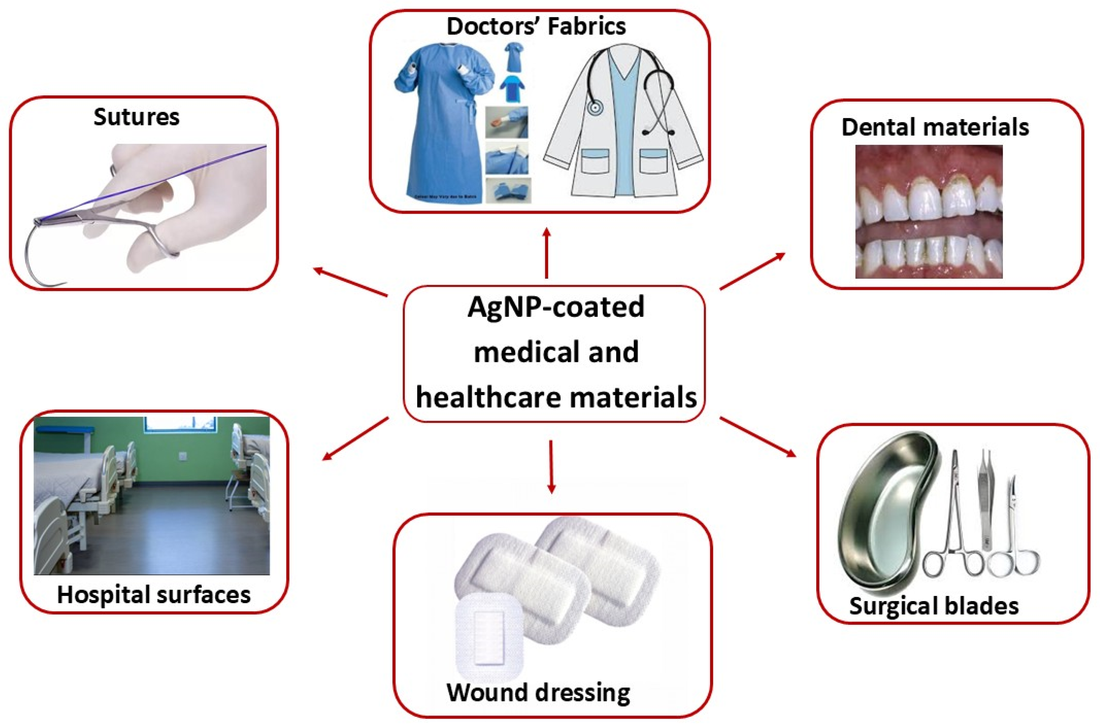 Microbiolres 16 00110 g004