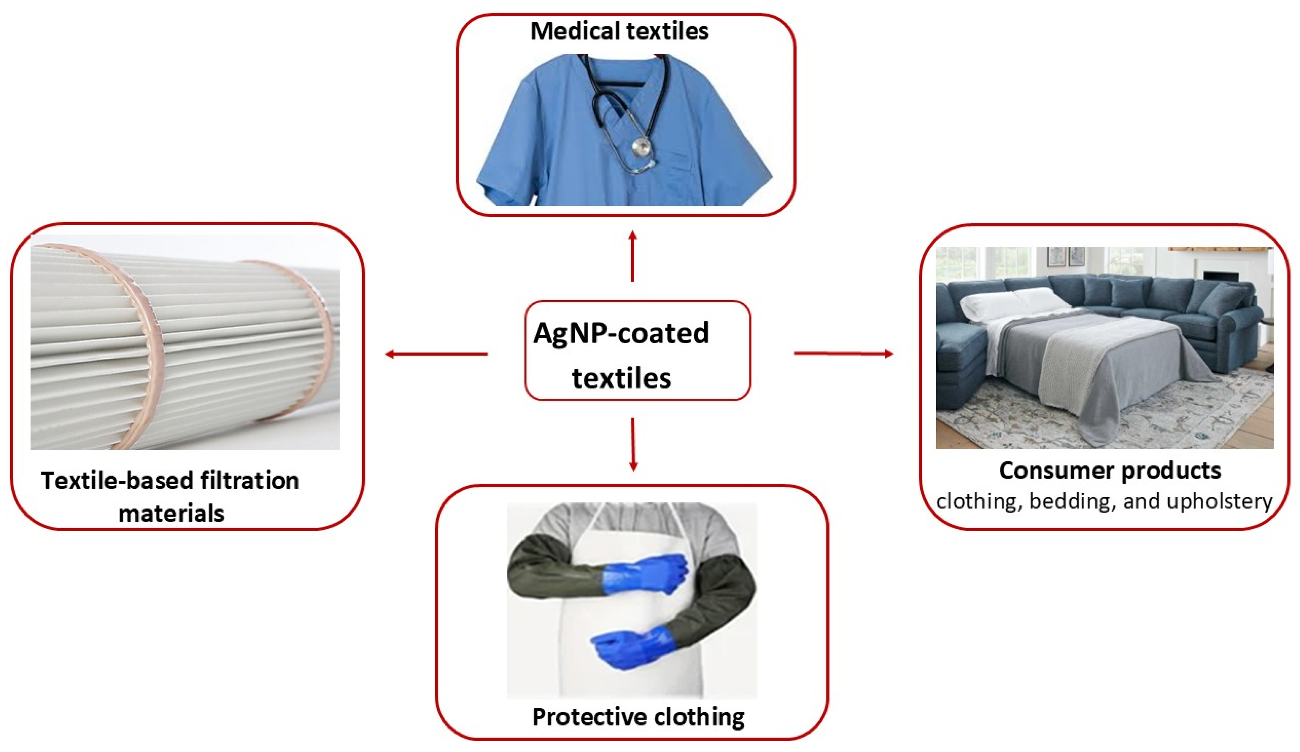 Microbiolres 16 00110 g005