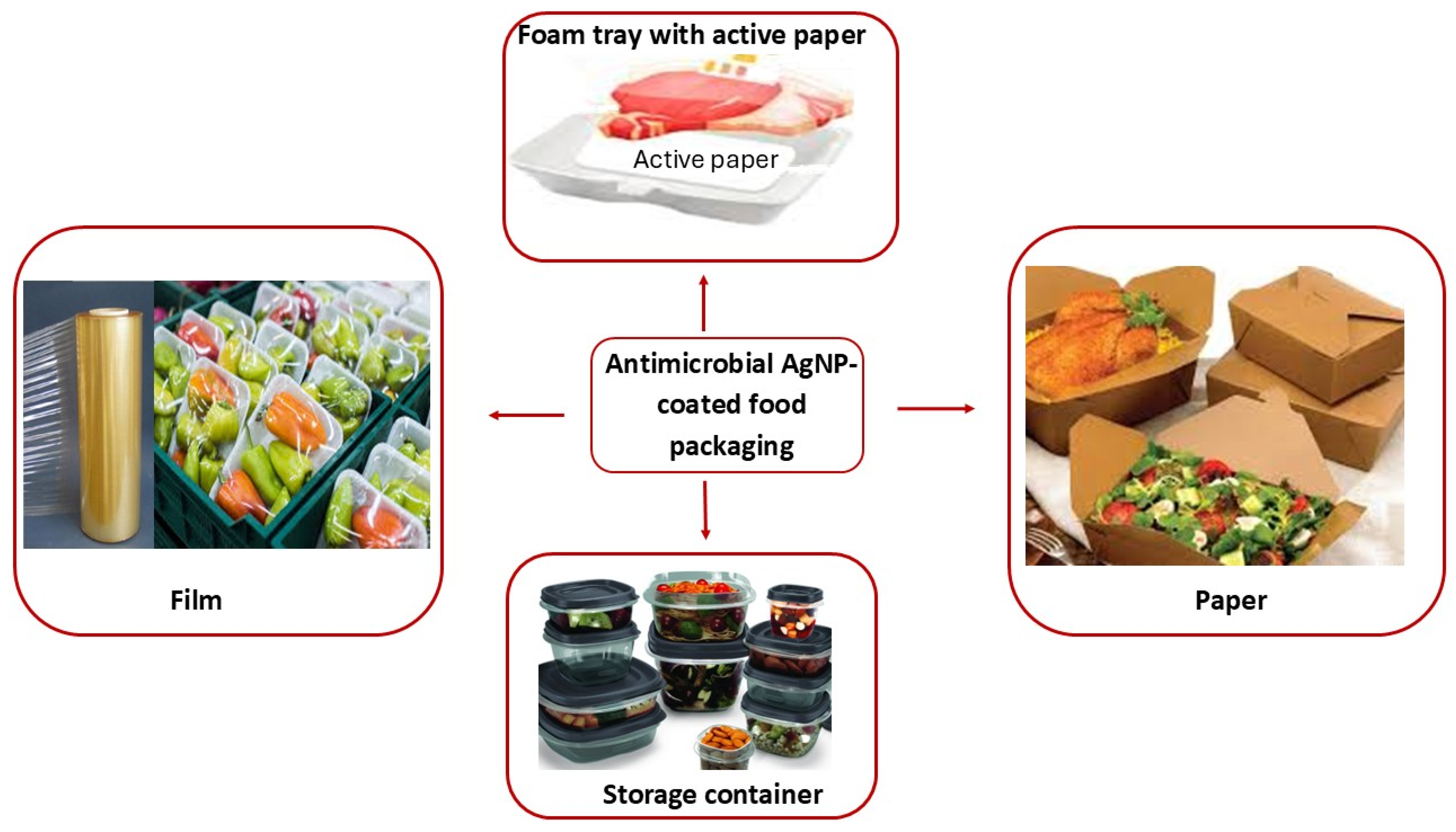 Microbiolres 16 00110 g007
