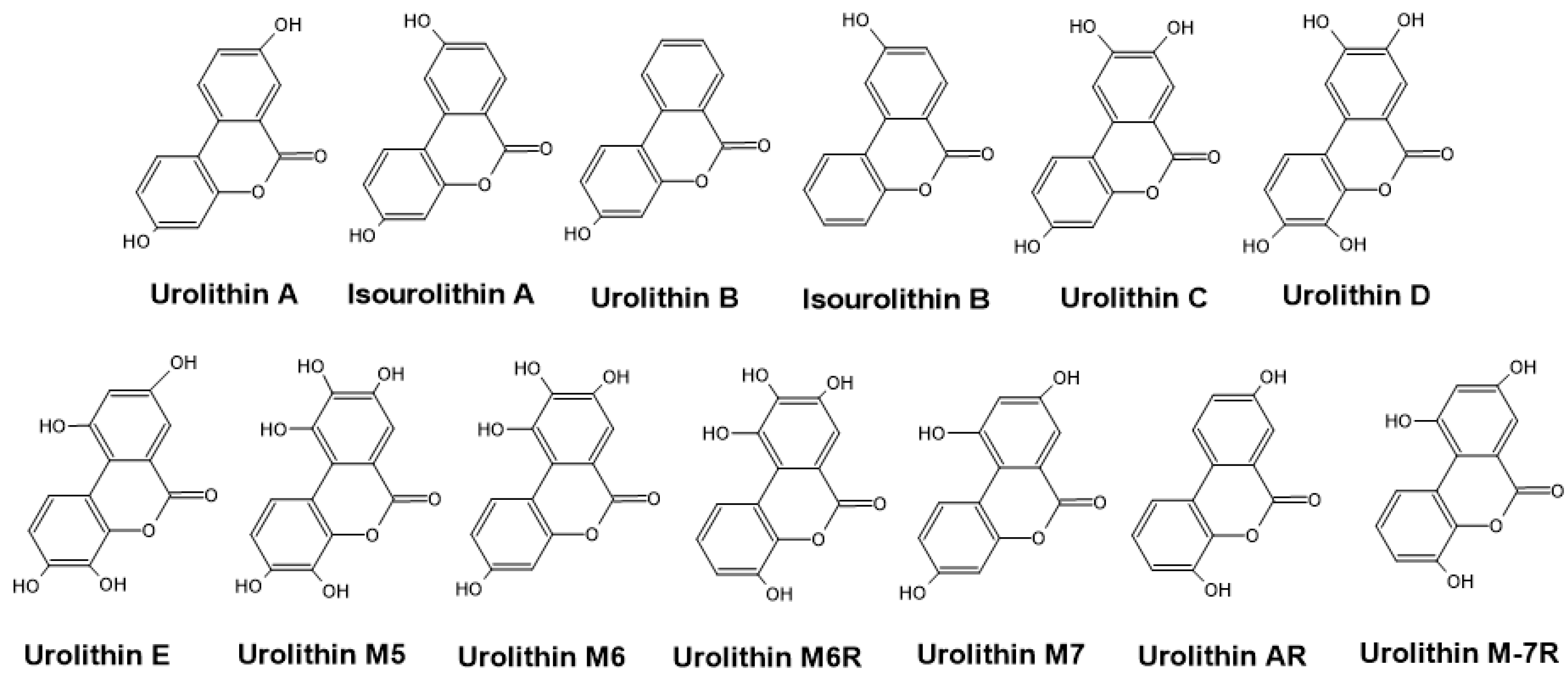 Microbiolres 16 00113 g004