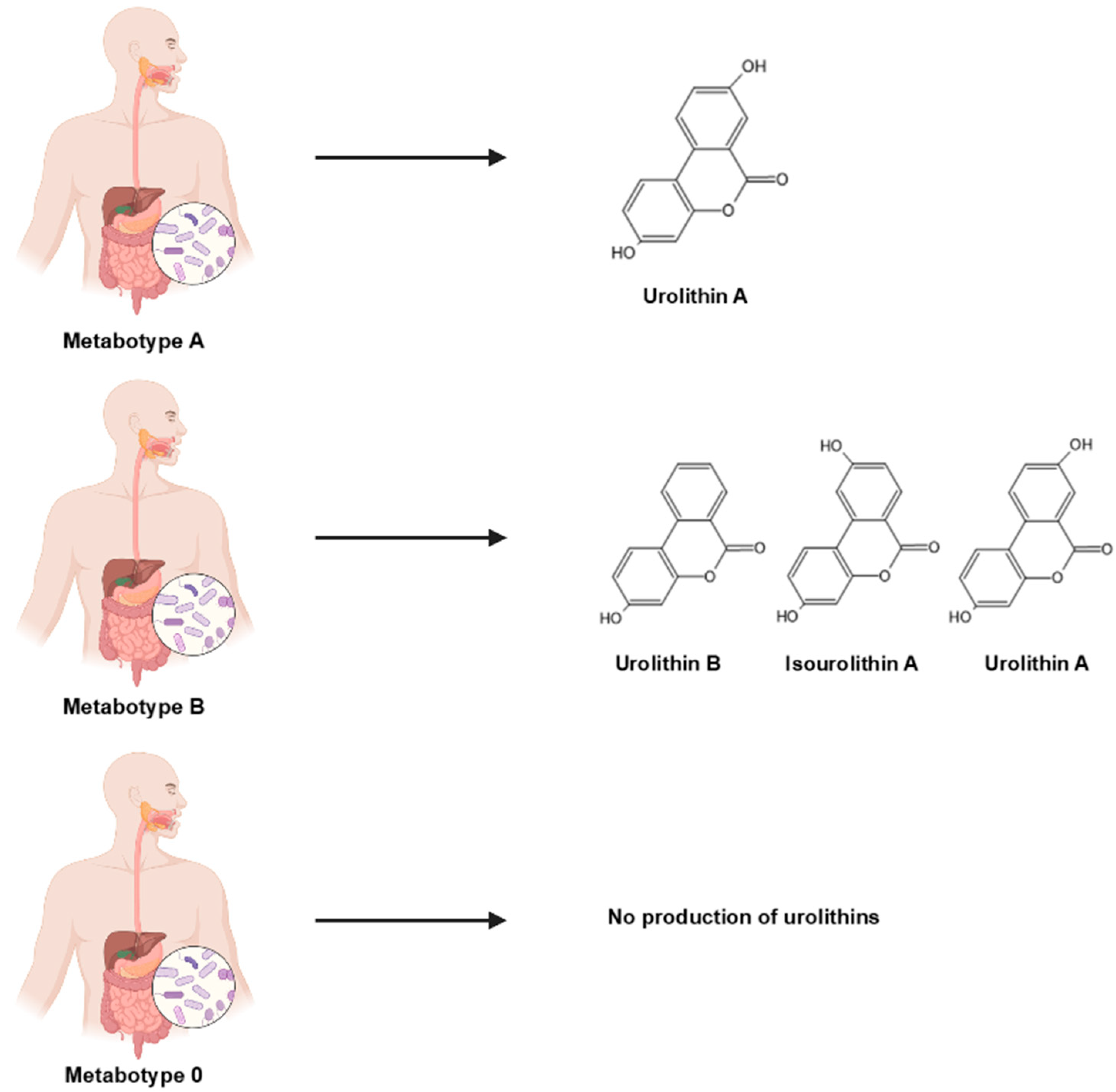 Microbiolres 16 00113 g006