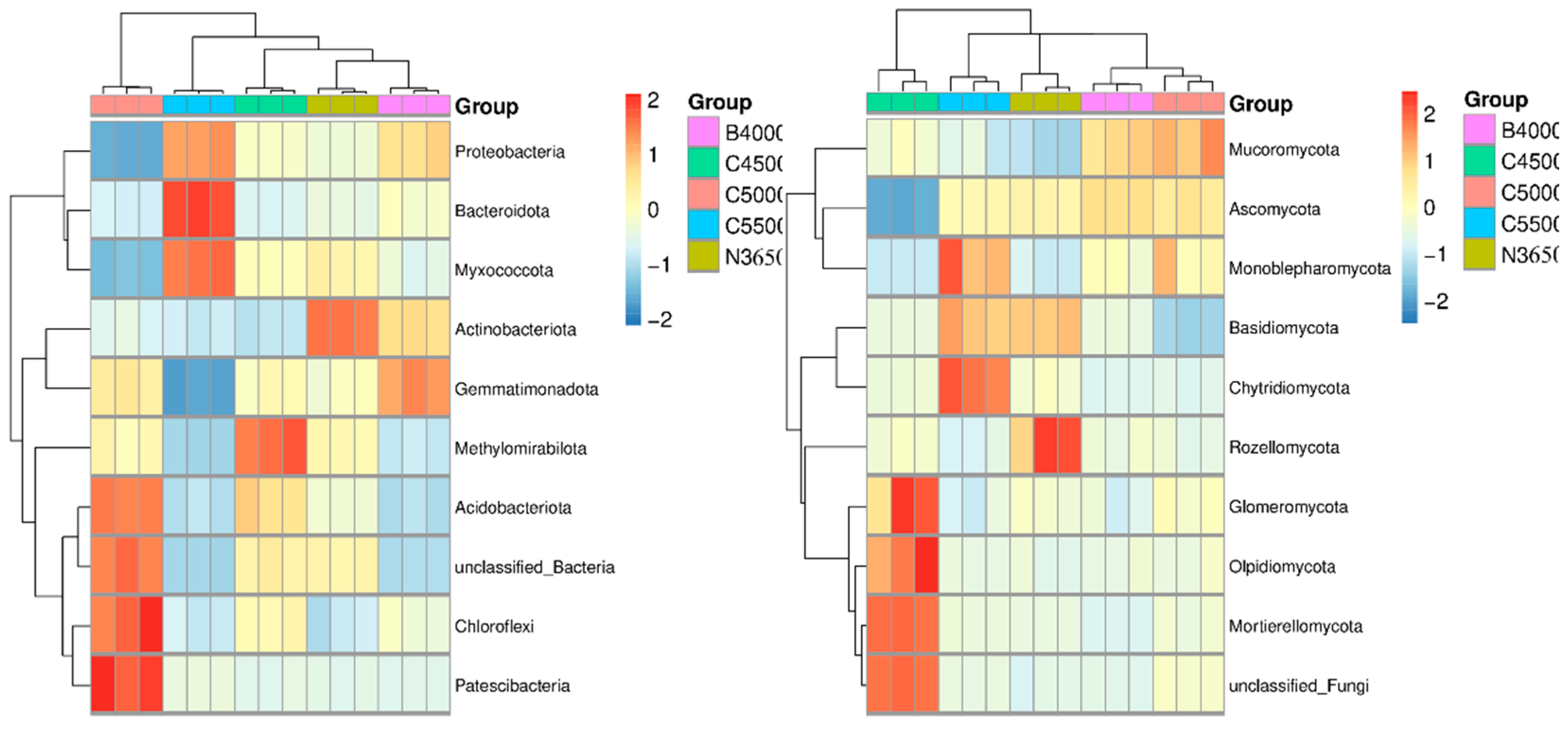 Microbiolres 16 00117 g004