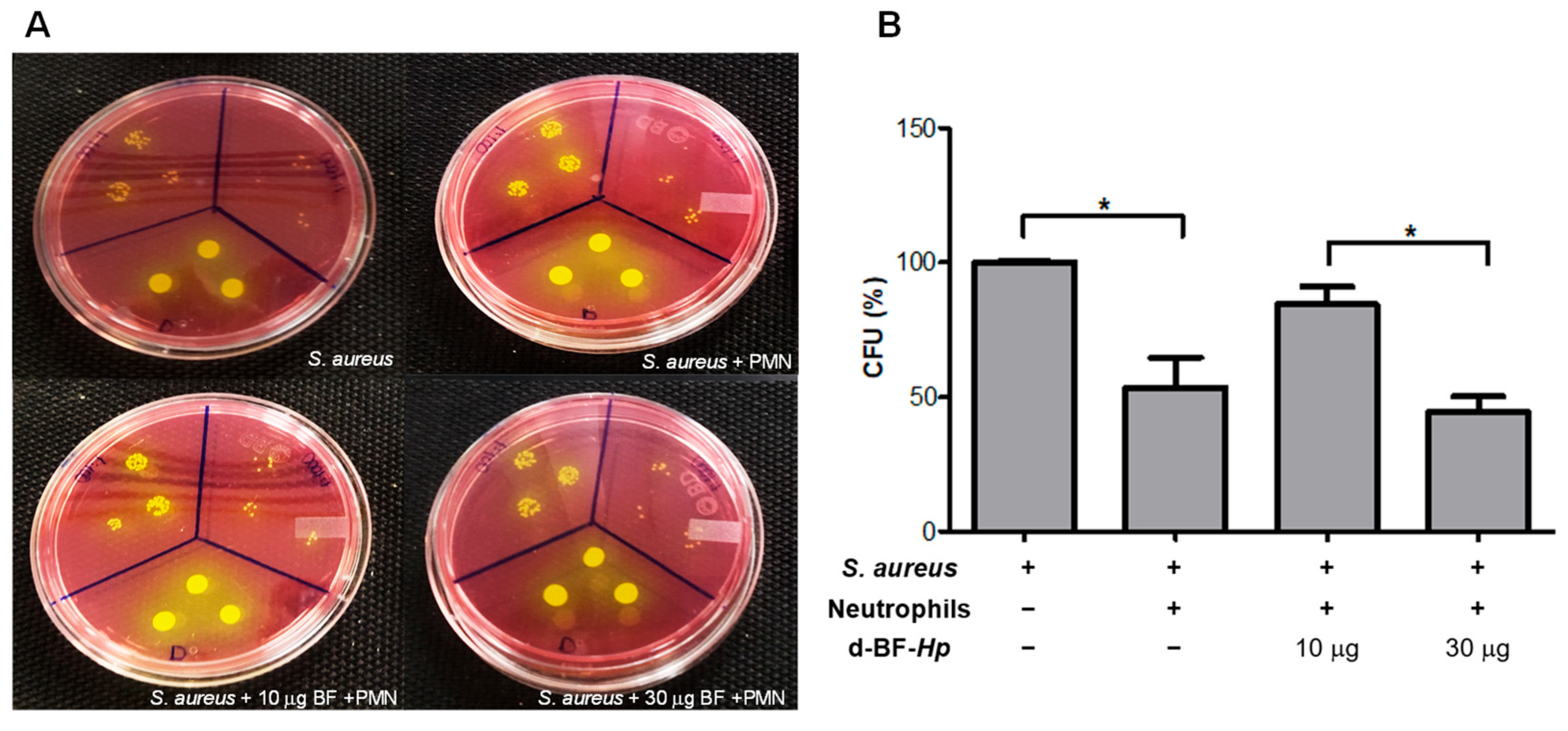 Microbiolres 16 00121 g001 Microbiolres 16 00121 g001