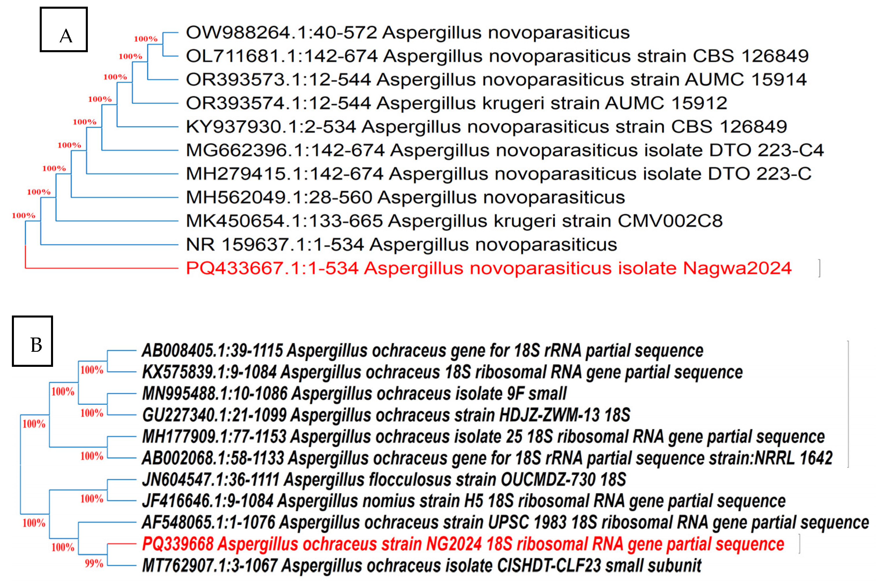Microbiolres 16 00141 g005