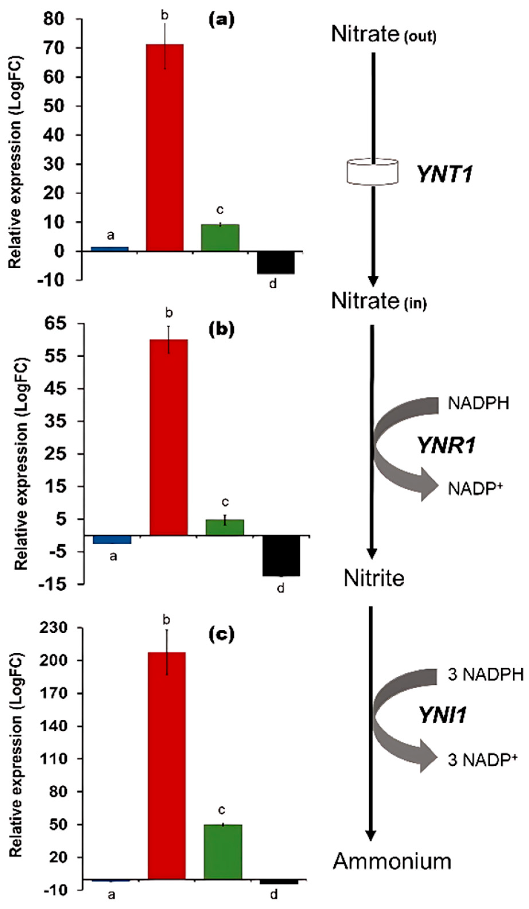 Microbiolres 16 00143 g004