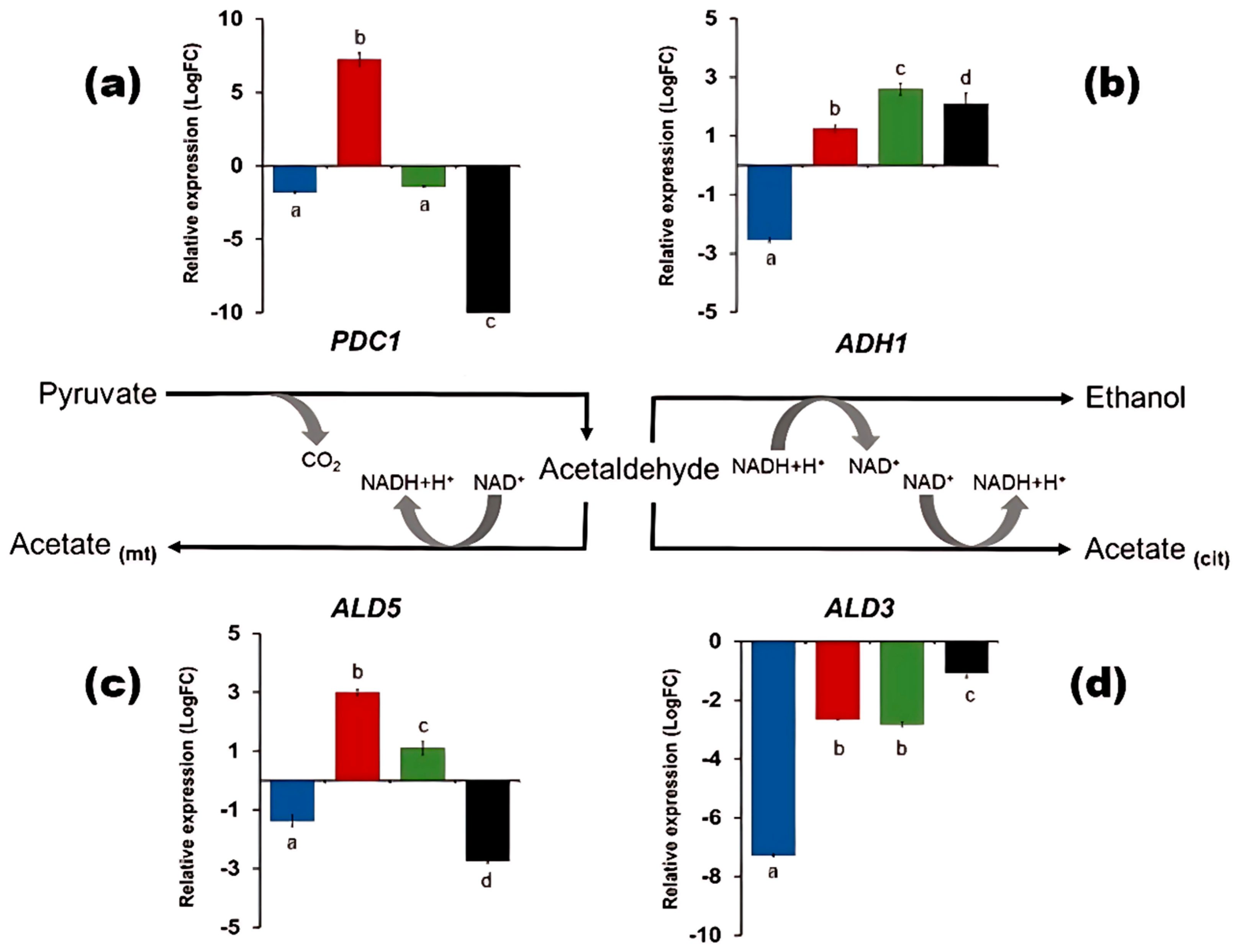 Microbiolres 16 00143 g005