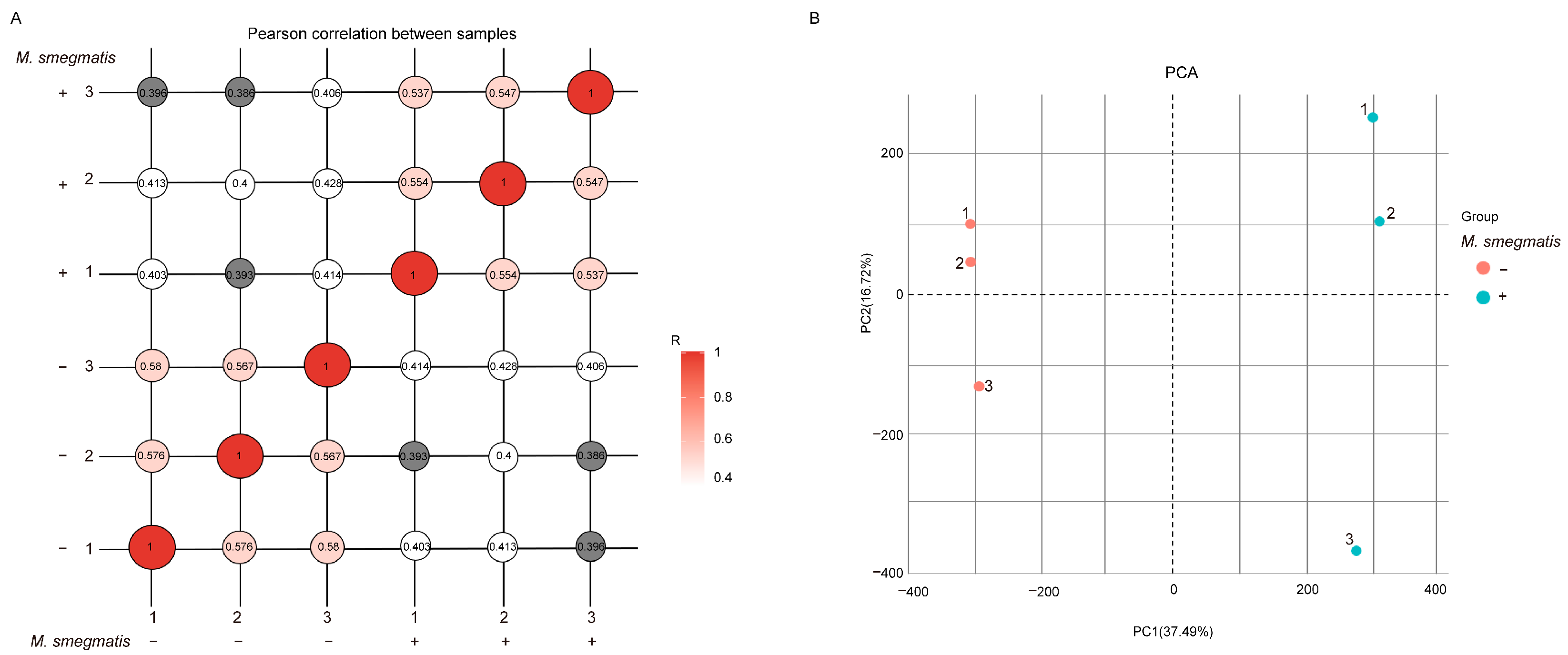 Microbiolres 16 00146 g001
