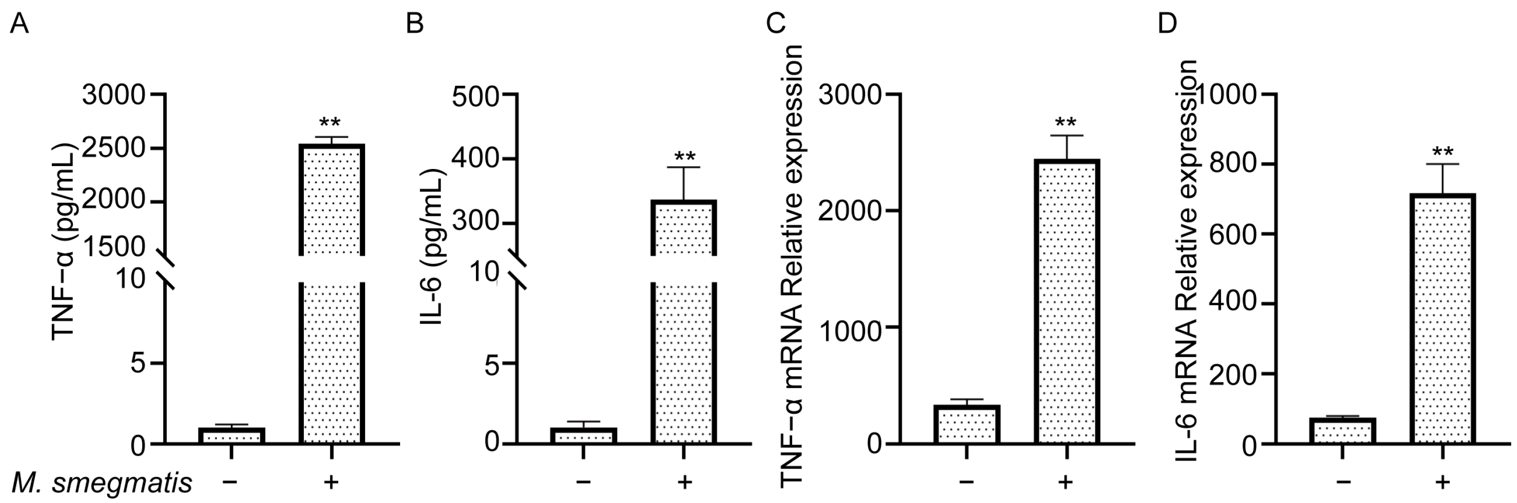 Microbiolres 16 00146 g005