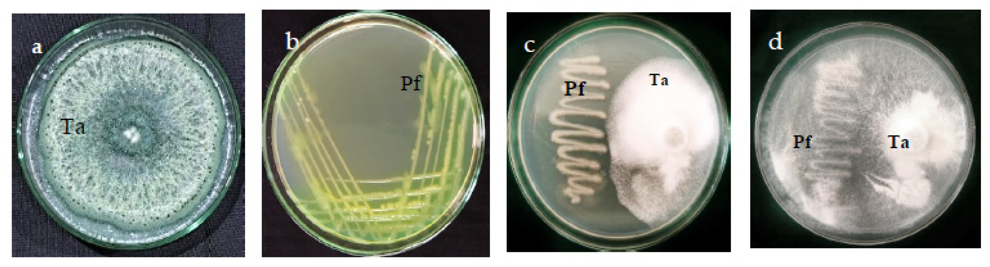 Microbiolres 16 00151 g002