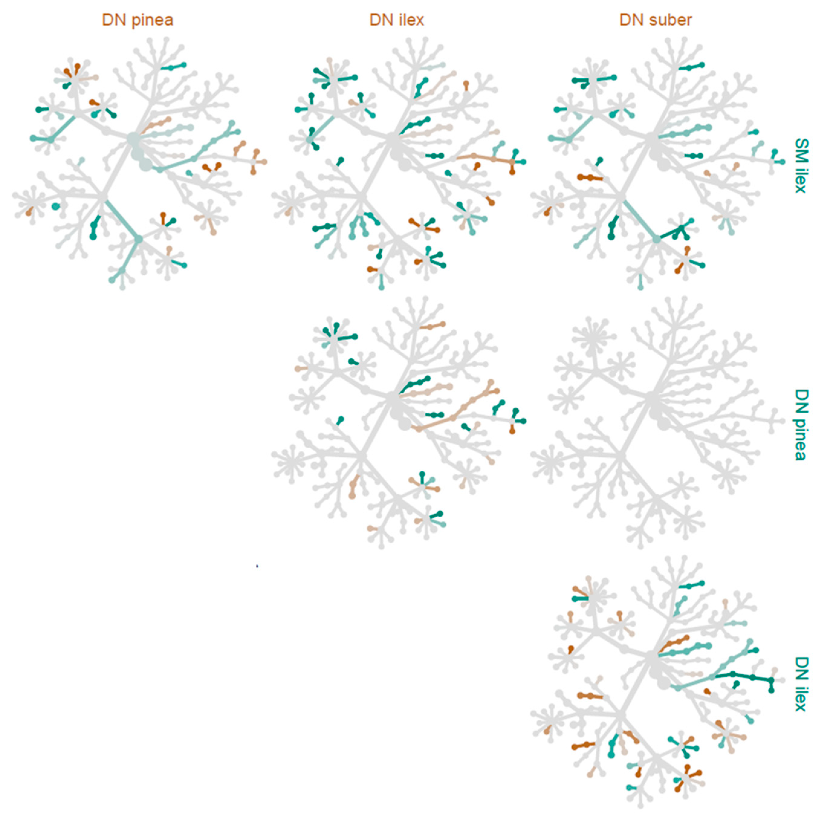 Microbiolres 16 00153 g003